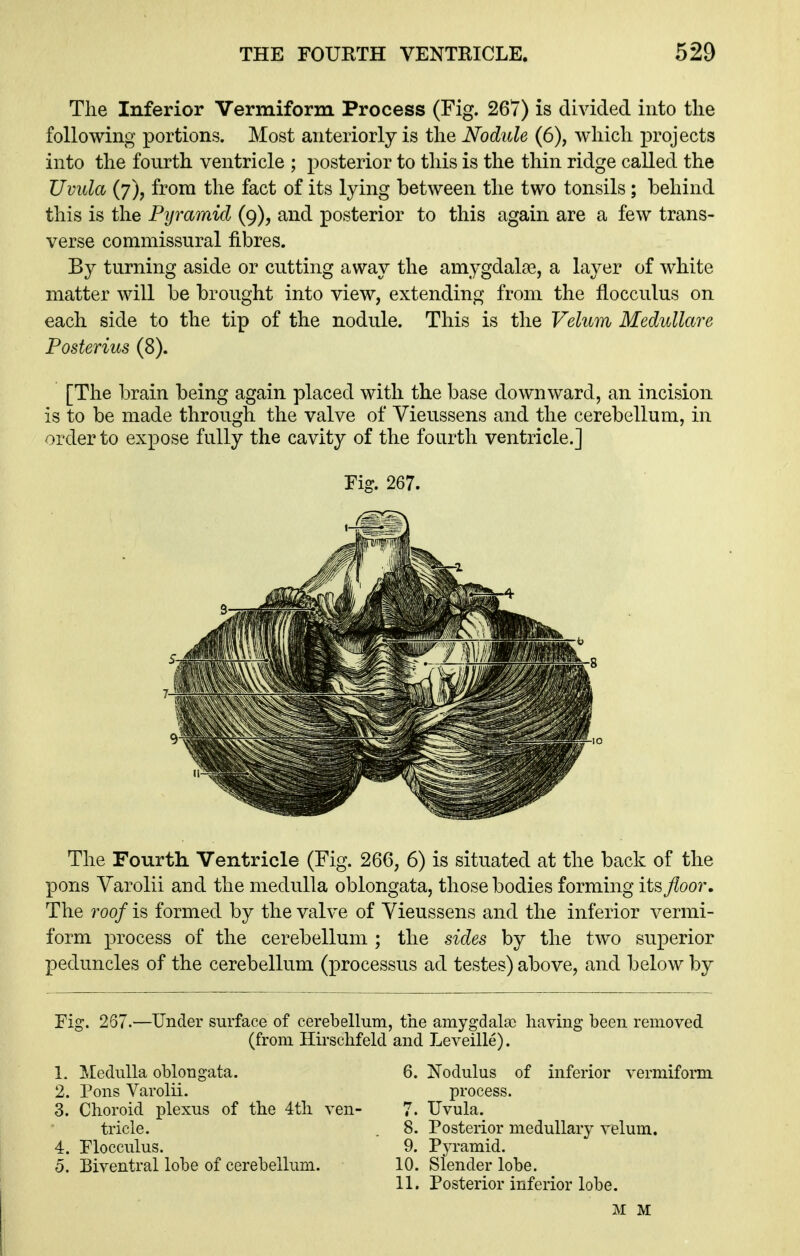 The Inferior Vermiform Process (Fig. 267) is divided into the following portions. Most anteriorly is the Nodule (6), which projects into the fourth ventricle ; posterior to this is the thin ridge called the Uvula (7), from the fact of its lying between the two tonsils; behind this is the Pyramid (9), and posterior to this again are a few trans- verse commissural fibres. By turning aside or cutting away the amygdalae, a layer of white matter will be brought into view, extending from the flocculus on each side to the tip of the nodule. This is the Velum Medullare Posterius (8). [The brain being again placed with the base downward, an incision is to be made through the valve of Vieussens and the cerebellum, in order to expose fully the cavity of the fourth ventricle.] The Fourth. Ventricle (Fig. 266, 6) is situated at the back of the pons Varolii and the medulla oblongata, those bodies forming its floor. The roof is formed by the valve of Vieussens and the inferior vermi- form process of the cerebellum ; the sides by the two superior peduncles of the cerebellum (processus ad testes) above, and below by Fig. 267.—Under surface of cerebellum, the amygdalae having been removed (from Hirschfeld and Leveille). 1. Medulla oblongata. 6. Nodulus of inferior vermifonn 2. Pons Varolii. process. 3. Choroid plexus of the 4tli ven- 7. Uvula. Fig. 267. 7- ■8 -10 tricle. 4. Flocculus. 5. Biventral lobe of cerebellum. 8. Posterior medullary velum. 9. Pyramid. 10. Slender lobe. 11. Posterior inferior lobe. M M