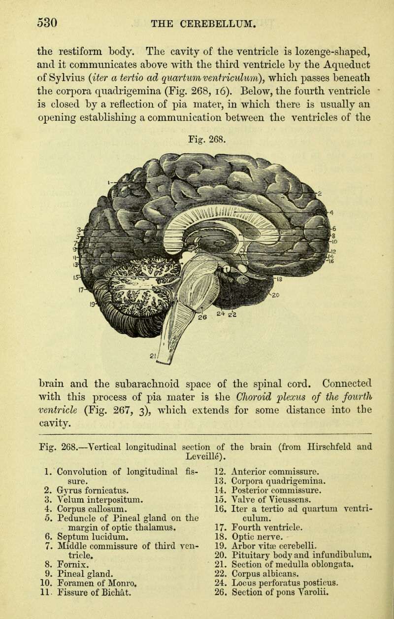 the restiforni body. The cavity of the ventricle is lozenge-shaped, and it communicates above with the third ventricle by the Aqueduct of Sylvius {iter a tertio ad quartum venfrimlum), which passes beneath the corpora quadrigemina (Fig. 268, i6). Below, the fourth ventricle is closed by a reflection of j)ia mater, in which there is usually an opening establishing a communication between the ventricles of the Fig. 268. brain and the subarachnoid space of the spinal cord. Connected with this process of pia mater is the Choroid 'plexus of the fourth ventricle (Fig. 267, 3), which extends for some distance into the cavity. Eig. 268.—Yertical longitudinal section of the brain (from Hirschfeld and Leveille). 1. Convolution of longitudinal fis- sure. 2. Gyrus fornicatus. 3. Velum interpositum. 4. Corpus callosum. 5. Peduncle of Pineal gland on the margin of optic thalamus. 6. Septum lucidum. 7. Middle commissure of third yen- tricle. 8. Fornix. 9. Pineal gland. 10. Foramen of Monro. 11. Fissure of Bichat. 12. Anterior commissure. 13. Corpora quadrigemina. 14. Posterior commissure. 15. Valve of Vieussens. 16. Iter a tertio ad quartum ventri- culum. 17. Fourth ventricle. 18. Optic nerve. 19. Arbor vitae cerebelli. 20. Pituitary body and infundibulum. 21. Section of medulla oblongata. 22. Corpus albicans. 24. Locus perforatus posticus. 26. Section of pons Varolii.
