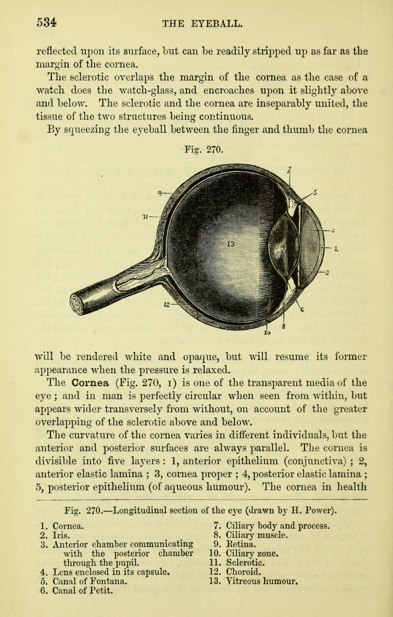 reflected upon its surface, but can be readily stripped up as far as the margin of the cornea. The sclerotic overlaps the margin of the cornea as the case of a watch does the watch-glass, and encroaches upon it slightly above and below. The sclerotic and the cornea are inseparably united, the tissue of the two structures being continuous. By squeezing the eyeball between the finger and thumb the cornea Fig. 270. will be rendered white and opaque, but will resume its former appearance when the pressure is relaxed. The Cornea (Fig. 270, i) is one of the transparent media of the eye; and in man is perfectly circular when seen from within, but ajjpears wider transversely from without, on account of the greater overlapping of the sclerotic above and below. The curvature of the cornea varies in different individuals, but the anterior and posterior surfaces are always parallel. The cornea is divisible into five layers : 1, anterior epithelium (conjunctiva) ; 2, anterior elastic lamina ; 3, cornea proper ; 4, posterior elastic lamina ; 5, posterior epithelium (of aqueous humour). The cornea in health Fig. 270.—Longitudinal section of the eye (drawn by H. Power). 1. Cornea. 2. Iris. 3. Anterior chamber communicating with the posterior chamber through the pupil. 4. Lens enclosed in its capsule. 5. Canal of Fontana. 6. Canal of Petit. 7. Ciliary body and process. 8. Ciliary muscle. 9. Retina. 10. Ciliary zone. 11. Sclerotic. 12. Choroid. 13. Vitreous humour.
