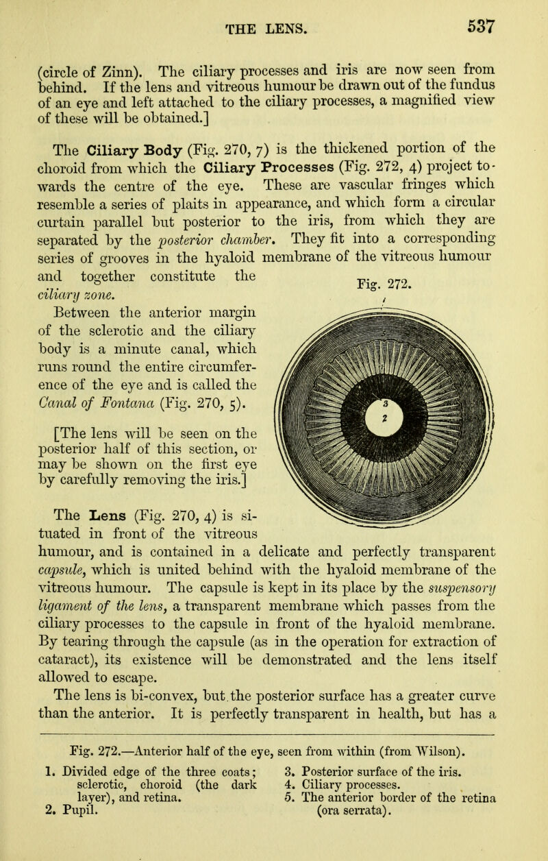 (circle of Zinn). The ciliary processes and iris are now seen from behind. If the lens and vitreous hnmonr be drawn out of the fundus of an eye and left attached to the ciliary processes, a magnified view of these will be obtained.] The Ciliary Body (Fig. 270, 7) is the thickened portion of the choroid from which the Ciliary Processes (Fig. 272, 4) project to- wards the centre of the eye. These are vascular fringes which resemble a series of plaits in appearance, and which form a circular curtain parallel but posterior to the iris, from which they are separated by the posterior chamber. They fit into a corresponding series of grooves in the hyaloid membrane of the vitreous humour and together constitute the ciliary zone. Between the anterior margin of the sclerotic and the ciliary body is a minute canal, which runs round the entire circumfer- ence of the eye and is called the Canal of Fontana (Fig. 270, 5). [The lens will be seen on the posterior half of this section, or may be shown on the first eye by carefully removing the iris.] The Lens (Fig. 270, 4) is si- tuated in front of the vitreous humour, and is contained in a delicate and perfectly transparent capsule, which is united behind with the hyaloid membrane of the vitreous humour. The capsule is kept in its place by the suspensory ligament of the lens, a transparent membrane which passes from the ciliary processes to the capsule in front of the hyaloid membrane. By tearing through the capsule (as in the operation for extraction of cataract), its existence will be demonstrated and the lens itself allowed to escape. The lens is bi-convex, but , the posterior surface has a greater curve than the anterior. It is perfectly transparent in health, but has a Fig. 272.—Anterior half of the eye, seen from within (from AYilson). 1. Divided edge of the three coats; 3. Posterior surface of the iris. sclerotic, choroid (the dark 4. Cihary processes. layer), and retina. 5. The anterior border of the retina 2. Pupil. (ora serrata).