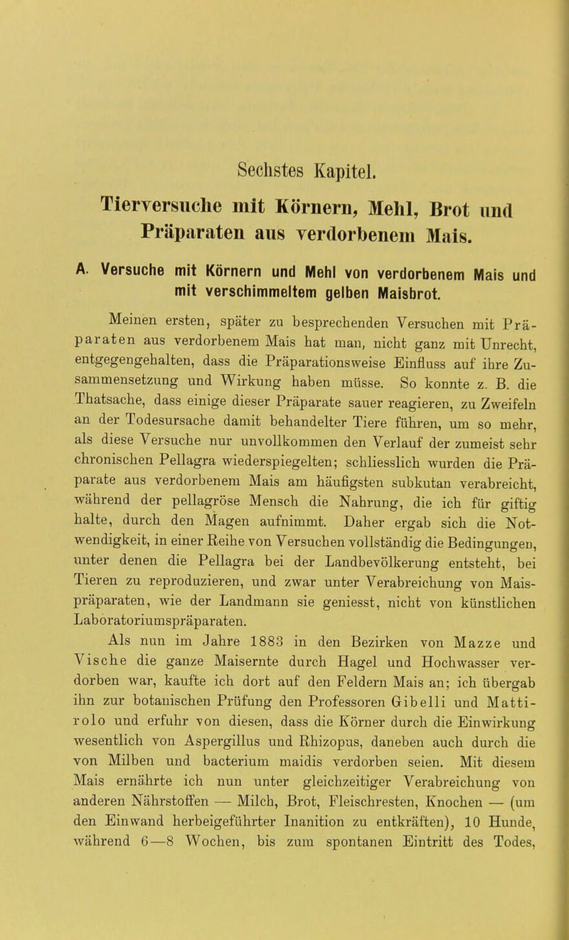 Sechstes Kapitel. Tierversuche mit Körnern, Mehl, Brot und Präparaten aus verdorbenem Mais. A. Versuche mit Körnern und Mehl von verdorbenem Mais und mit verschimmeltem gelben Maisbrot. Meinen ersten, später zu besprechenden Versuchen mit Prä- paraten aus verdorbenem Mais hat man, nicht ganz mit Unrecht, entgegengehalten, dass die Präparationsweise Einfluss auf ihre Zu- sammensetzung und Wirkung haben müsse. So konnte z. B. die Thatsache, dass einige dieser Präparate sauer reagieren, zu Zweifeln an der Todesursache damit behandelter Tiere führen, um so mehr, als diese Versuche nur unvollkommen den Verlauf der zumeist sehr chronischen Pellagra wiederspiegelten; schliesslich wurden die Prä- parate aus verdorbenem Mais am häufigsten subkutan verabreicht, während der pellagrose Mensch die Nahrung, die ich für giftig halte, durch den Magen aufnimmt. Daher ergab sich die Not- wendigkeit, in einer Reihe von Versuchen vollständig die Bedingungen, unter denen die Pellagra bei der Landbevölkerung entsteht, bei Tieren zu reproduzieren, und zwar unter Verabreichung von Mais- präparaten, wie der Landmann sie geniesst, nicht von künstlichen Laboratoriumspräparaten. Als nun im Jahre 1883 in den Bezirken von Mazze und Viscke die ganze Maisernte durch Hagel und Hochwasser ver- dorben war, kaufte ich dort auf den Feldern Mais an: ich übergab ihn zur botanischen Prüfung den Professoren Gibeiii und Matti- rolo und erfuhr von diesen, dass die Körner durch die Einwirkung: wesentlich von Aspergillus und Rhizopus, daneben auch durch die von Milben und bacterium maidis verdorben seien. Mit diesem Mais ernährte ich nun unter gleichzeitiger Verabreichung von anderen Nährstoffen — Milch, Brot, Fleischresten, Knochen — (um den Einwand herbeigeführter Inanition zu entkräften), 10 Hunde, während 6—8 Wochen, bis zum spontanen Eintritt des Todes,