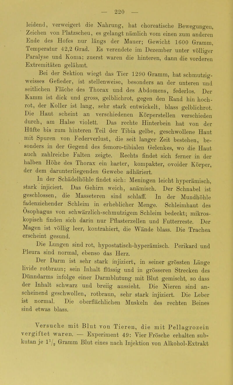 leidend, verweigert die Kahrung, hat choreatische Bewegungen, Zeichen von Platzscheü, es gelangt nämlich vom einen zum anderen Ende des Hofes nur längs der Mauer; Gewicht 1600 Gramm. Temperatur 42,2 Grad. Es verendete im Dezember unter völliger Paralyse und Koma; zuerst waren die hinteren, dann die vorderen Extremitäten gelähmt. Bei der Sektion wiegt das Tier 1290 Gramm, hat schmutzig- weisses Gefieder, ist stellenweise, besonders an der unteren und seitlichen Fläche des Thorax und des Abdomens, federlos. Der Kamm ist dick und gross, gelblichrot, gegen den Rand hin hoch- rot, der Koller ist lang, sehr stark entwickelt, blass gelblichrot. Die Haut scheint an verschiedenen Körperstellen verschieden durch, am Halse violett. Das rechte Hinterbein hat von der Hüfte bis zum hinteren Teil der Tibia gelbe, geschwollene Haut mit Spuren von Federverlust, die seit langer Zeit bestehen, be- sonders in der Gegend des femoro-tibialen Gelenkes, wo die Haut auch zahlreiche Falten zeigte. Rechts findet sich ferner in der halben Höhe des Thorax ein harter, kompakter, ovoider Körper, der dem darunterliegenden Gewebe adhäriert. In der Schädelhöhle findet sich: Meningen leicht hyperämisch, stark injiciert. Das Gehirn weich, anämisch. Der Schnabel ist geschlossen, die Massetereu sind schlafi. In der Mundhöhle fadenziehender Schleim in erheblicher Menge. Schleimhaut des Ösophagus von schwärzlich-schmutzigem Schleim bedeckt; mikros- kopisch finden sich darin nur Pflasterzellen und Futterreste. Der Magen ist völlig leer, kontrahiert, die Wände blass. Die Trachea erscheint gesund. Die Lungen sind rot, hypostatisch-hyperämisch. Perikard und Pleura sind normal, ebenso das Herz. Der Darm ist sehr stark injiziert, in seiner grössten Länge livide rotbraun; sein Inhalt flüssig und in grösseren Strecken des Dünndarms infolge einer Darmblutung mit Blut gemischt, so dass der Inhalt schwarz und breiig aussieht. Die Nieren sind an- scheinend geschwollen, rotbraun, sehr stark injiziert. Die Leber ist normal. Die oberflächlichen Muskeln des rechten Beines sind etwas blass. Versuche mit Blut von Tiereu, die mit Pellagrozein vergiftet waren. — Experiment 49: Vier Frösche erhalten sub- kutan je Gramm Blut eines nach Injektion von Alkohol-Extrakt