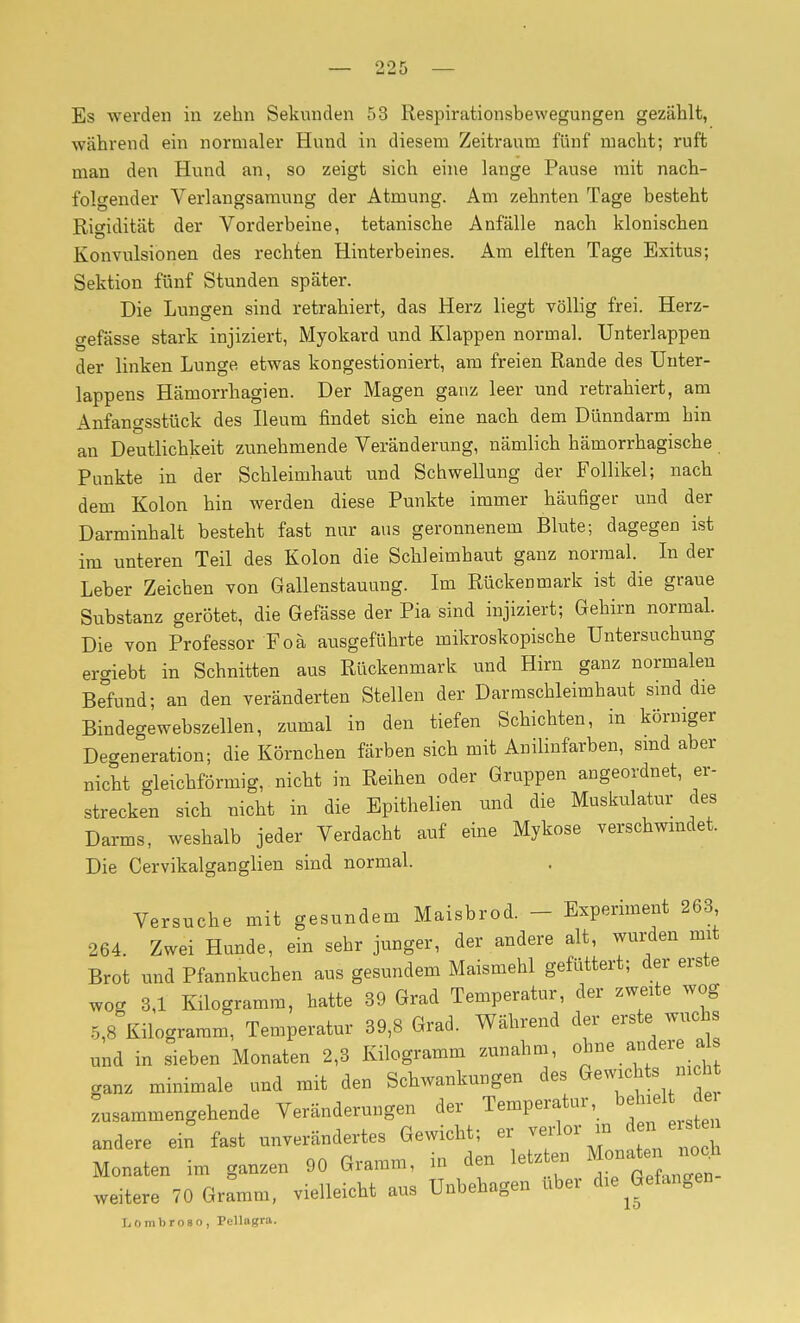 Es werden in zehn Sekunden 53 Respirationsbewegungen gezählt, während ein normaler Hund in diesem Zeitraum fünf macht; ruft man den Hund an, so zeigt sich eine lange Pause mit nach- folgender Verlangsamung der Atmung. Am zehnten Tage besteht Rigidität der Vorderbeine, tetanische Anfälle nach klonischen Konvulsionen des rechten Hinterbeines. Am elften Tage Exitus; Sektion fünf Stunden später. Die Lungen sind retrahiert, das Herz liegt völlig frei. Herz- gefässe stark injiziert, Myokard tmd Klappen normal. Unterlappen der linken Lunge etwas kongestioniert, am freien Rande des Unter- lappens Hämorrhagien. Der Magen ganz leer und retrahiert, am Anfangsstück des Ileum findet sich eine nach dem Dünndarm hin an Deutlichkeit zunehmende Veränderung, nämlich hämorrhagische Punkte in der Schleimhaut und Schwellung der Follikel; nach dem Kolon hin werden diese Punkte immer häufiger und der Darminhalt besteht fast nur aus geronnenem Blute; dagegen ist im unteren Teil des Kolon die Schleimhaut ganz normal. In der Leber Zeichen von Gallenstauung. Im Rückenmark ist die graue Substanz gerötet, die Gelasse der Pia sind injiziert; Gehirn normal. Die von Professor Foà ausgeführte mikroskopische Untersuchung ergiebt in Schnitten aus Rückenmark und Hirn ganz normalen Befund; an den veränderten Stellen der Darmschleimhaut sind die Bindegewebszellen, zumal in den tiefen Schichten, in körniger Degeneration; die Körnchen färben sich mit Anilinfarben, smd aber nicht gleichförmig, nicht in Reihen oder Gruppen angeordnet, er- strecken sich nicht in die Epithelien und die Muskulatur des Darms, weshalb jeder Verdacht auf eine Mykose verschwmdet. Die Cervikalganglien sind normal. Versuche mit gesundem Maisbrod. - Experiment 263 264. Zwei Hunde, ein sehr junger, der andere alt, wurden mit Brot und Pfannkuchen aus gesundem Maismehl gefüttert; der erste wog 3,1 Kilogramm, hatte 39 Grad Temperatur, der zweite wog 5,8 Kilogramm, Temperatur 39,8 Grad. Während der erste wuchs und in sieben Monaten 2,3 Kilogramm zunahm, oh^^^^'^'''.^ ganz minimale und mit den Schwankungen des ^'^l'^^'^f; zusammengehende Veränderungen der Temperatur, ^f^f j^^ andere ein fast unverändertes Gewicht; er jf ^ ^ ^/^^^^ ^ Monaten im ganzen 90 Gramm, in den letzten Monatei^^ no.h weitere 70 GrLm, vielleicht aus Unbehagen über die Gefangen Lombroso, Pellagra.