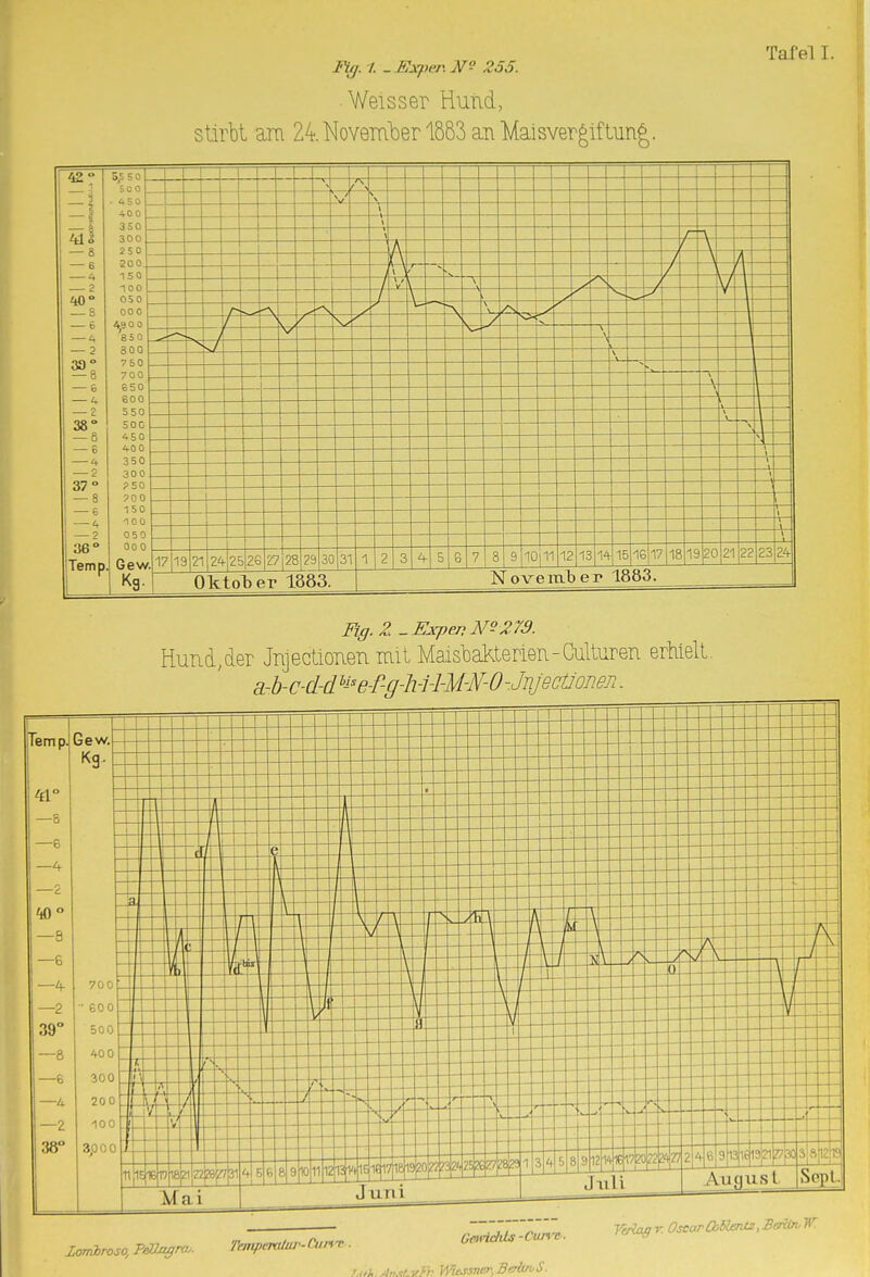 FU/. 1. .Uxper.N^ 255. Weisser Hutid, stirbt ara 24. November 1883 an Maisvergiftung. Tafel I. Fiß.Z -ExpenN^279. Hurid,der Jnjectionen mit Maisbakterien-Culturen erhielt. a-b-c-d-d ^i^e-r-g-h-i-l-M-N-O-Jnjecüonen. T Lombroso, PeOagrv.. rrnipctxitui-Cim-c . ümidiU-Cuiv^- TAth.ÀnsLv.Th \Viessner',BeHln,S. Verlag r. Oscar OiNmts, Berlin' W: