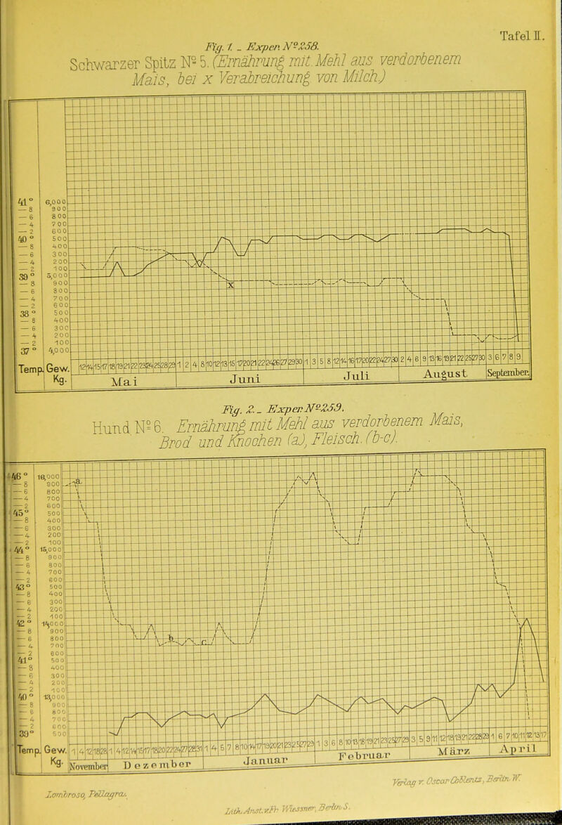 Fil]. t _ Ejqien N^2ó8. Schwarzer Spitz W 5. (Ernähmn^ mit Mehl aus verdorbenem Mais, hei x Verahreichung von Milch.) Tafeln. — 8 — 6 - 4 40° 39° — 8 — 6 — 4 n 38° — 8 — 6 — 4 — 2 37° ITem G,00 0 900 800 7 00 600 500 'fOO 300 200 -100 5,0 0 0 900 800 700 600 500 hOG 30C 200 100 ^5^0 00 Gew. Kg. 12528291 ^5 2I4I81012^161?^ 22 2' Mai Jum 13 5 81214161720SJ42730 2 Juli h 6 9131619|21p2|25|27|30 August 3 6 7 8 9 Septanbec] HuTid N° 6 Ernähruni mit Mehl aus verdorbenem Mais, Brod und Knoohen (a), Fleisch, fb-cj.