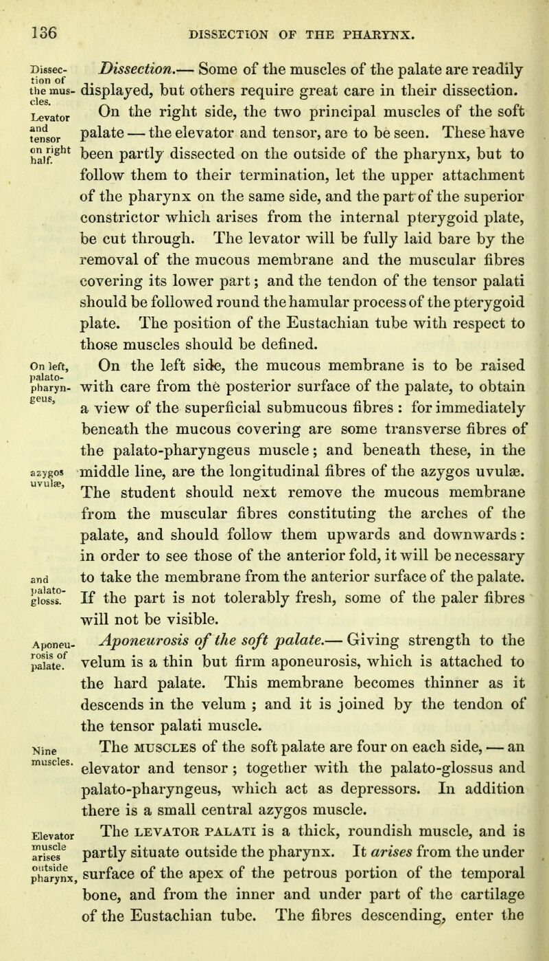 Bissec- Dissection.— Some of the muscles of the palate are readily tion of . . . . the mus- displayed, but others require great care m their dissection. Levator ^'^^^ right side, the two principal muscles of the soft tensor Palate — the elevator and tensor, are to be seen. These have haif!^^* been partly dissected on the outside of the pharynx, but to follow them to their termination, let the upper attachment of the pharynx on the same side, and the part of the superior constrictor which arises from the internal pterygoid plate, be cut through. The levator will be fully laid bare by the removal of the mucous membrane and the muscular fibres covering its lower part; and the tendon of the tensor palati should be followed round thehamular process of the pterygoid plate. The position of the Eustachian tube with respect to those muscles should be defined. On left. On the left side, the mucous membrane is to be raised pharyn- with carc from the posterior surface of the palate, to obtain a view of the superficial submucous fibres ; for immediately beneath the mucous covering are some transverse fibres of the palato-pharyngeus muscle; and beneath these, in the azygos middle line, are the longitudinal fibres of the azygos uvulje. The student should next remove the mucous membrane from the muscular fibres constituting the arches of the palate, and should follow them upwards and downwards: in order to see those of the anterior fold, it will be necessary and to take the membrane from the anterior surface of the palate. gToslr If the part is not tolerably fresh, some of the paler fibres will not be visible. Aponeu- Aponeurosis of the soft palate.— Giving strength to the palate.^ vclum is a thin but firm aponeurosis, which is attached to the hard palate. This membrane becomes thinner as it descends in the velum ; and it is joined by the tendon of the tensor palati muscle. Mine The MUSCLES of the soft palate are four on each side, — an muscles. ^jgyg^^Qj, g^^d tcusor ; together with the palato-glossus and palato-pharyngeus, which act as depressors. In addition there is a small central azygos muscle. Elevator The LEVATOR PALATI is a thick, roundish muscle, and is Tri^ses^ partly situate outside the pharynx. It arises from the under pharynx, surfacc of the apcx of the petrous portion of the temporal bone, and from the inner and under part of the cartilage of the Eustachian tube. The fibres descending, enter the