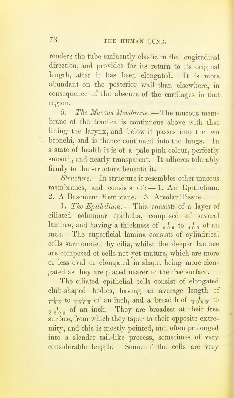 renders the tube eminently elastic in the longitudinal direction, and provides for its return to its original length, after it has been elongated. It is more abundant on the posterior wall than elsewhere, in consequence of the absence of the cartilages in that region. 5, The Mucous Membrane. — The mucous mem- brane of the trachea is continuous above with that lining the larynx, and below it passes into the two bronchi, and is thence continued into the lungs. In a state of health it is of a pale pink colour, perfectly smooth, and nearly transparent. It adheres tolerably firmly to the structure beneath it. Structure.—In structure it resembles other mucous membranes, and consists of: — 1. An Epithelium. 2. A Basement Membrane. 8. Areolar Tissue. 1. The Epithelium. — This consists of a layer of ciliated columnar epithelia, composed of several laminae, and having a thickness of -y^-g- to 4-^-5- of an inch. The superficial lamina consists of cylindrical cells surmounted by cilia, whilst the deeper laminte are composed of cells not yet mature, which are more or less oval or elongated in shape, being more elon- gated as they are placed nearer to the free surface. The ciliated epithelial cells consist of elongated club-shaped bodies, having an average length of ■5-5-5- -roVo of inch, and a breadth of ■j-'oVo' of an inch. They are broadest at their free surface, from which they taper to their opposite extre- mity, and this is mostly pointed, and often prolonged into a slender tail-like process, sometimes of very considerable length. Some of the cells are very