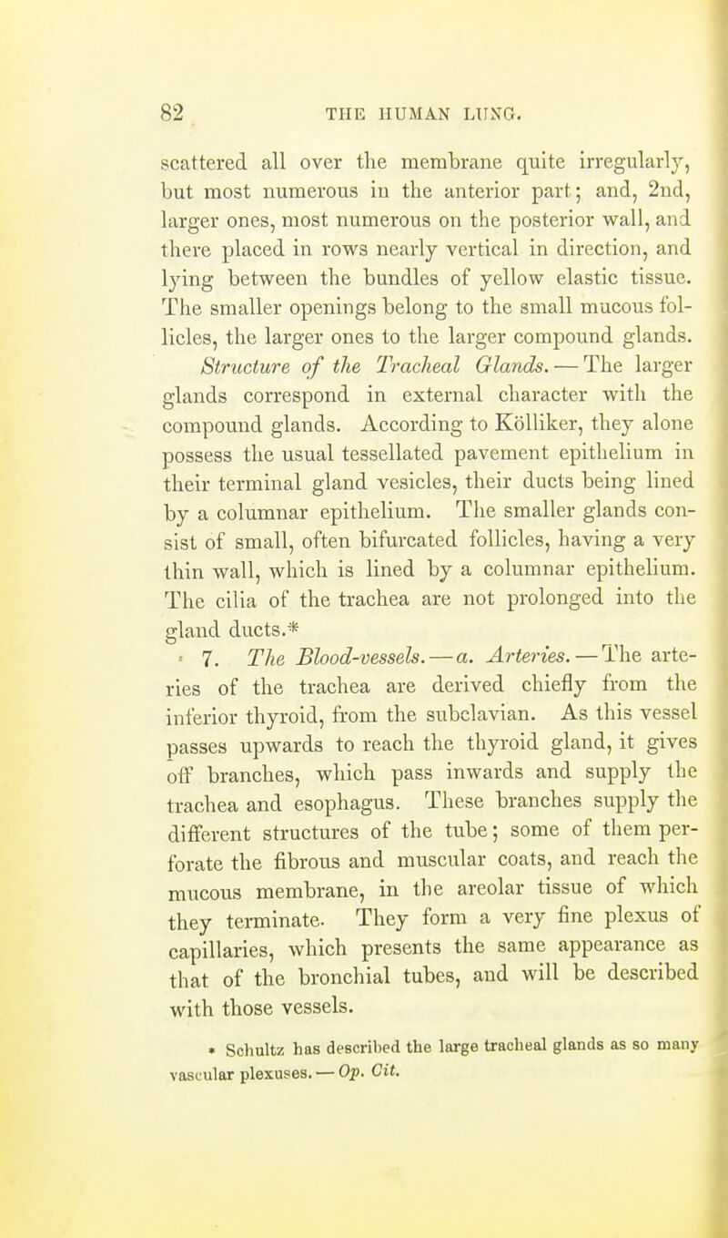 scattered all over the membrane quite irregularly, but most numerous in the anterior part; and, 2nd, larger ones, most numerous on the posterior wall, and there placed in rows nearly vertical in direction, and lying between the bundles of yellow elastic tissue. The smaller openings belong to the small mucous fol- licles, the larger ones to the larger compound glands. Structure of the Tracheal Glands. — The larger glands correspond in external character with the compound glands. According to Kolliker, they alone possess the usual tessellated pavement epithelium in their terminal gland vesicles, their ducts being lined by a columnar epithelium. The smaller glands con- sist of small, often bifurcated follicles, having a very thin wall, which is lined by a columnar epithelium. The cilia of the trachea are not prolonged into the gland ducts.* ' 7. The Blood-vessels. — a. Arteries. — The arte- ries of the trachea are derived chiefly from the inferior thyroid, from the subclavian. As this vessel passes upwards to reach the thyroid gland, it gives off branches, which pass inwards and supply the trachea and esophagus. These branches supply the different structures of the tube; some of them per- forate the fibrous and muscular coats, and reach the mucous membrane, in the areolar tissue of which they terminate. They form a very fine plexus of capillaries, which presents the same appearance as that of the bronchial tubes, and will be described with those vessels. • Schultz has described the large tracheal glands as so many vascular plexuses. — Op. Cit.