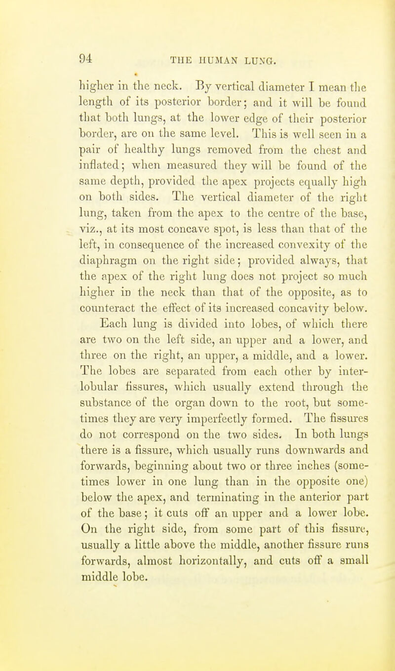 higher in the neck. By vertical diameter I mean the length of its posterior border; and it will be found that both lungs, at the lower edge of their posterior border, are on the same level. This is well seen in a pair of healthy lungs removed from the chest and inflated; when measured they will be found of the same depth, provided the apex projects eq^ually high on both sides. The vertical diameter of the right lung, taken from the apex to the centre of the base, viz., at its most concave spot, is less than that of the left, in consequence of the increased convexity of the diaphragm on the right side; provided always, that the apex of the right lung does not project so much higher in the neck than that of the opposite, as to counteract the effect of its increased concavity below. Each lung is divided into lobes, of which there are two on the left side, an upper and a lower, and three on the right, an upper, a middle, and a lower. The lobes are separated from each other by inter- lobular fissures, which usually extend through the substance of the organ down to the root, but some- times they are very imperfectly formed. The fissures do not correspond on the two sides. In both lungs there is a fissure, which usually runs downwards and forwards, beginning about two or three inches (some- times lower in one lung than in the opposite one) below the apex, and terminating in the anterior part of the base; it cuts oflF an upper and a lower lobe. On the right side, from some part of this fissure, usually a little above the middle, another fissure runs forwards, almost horizontally, and cuts off a small middle lobe.