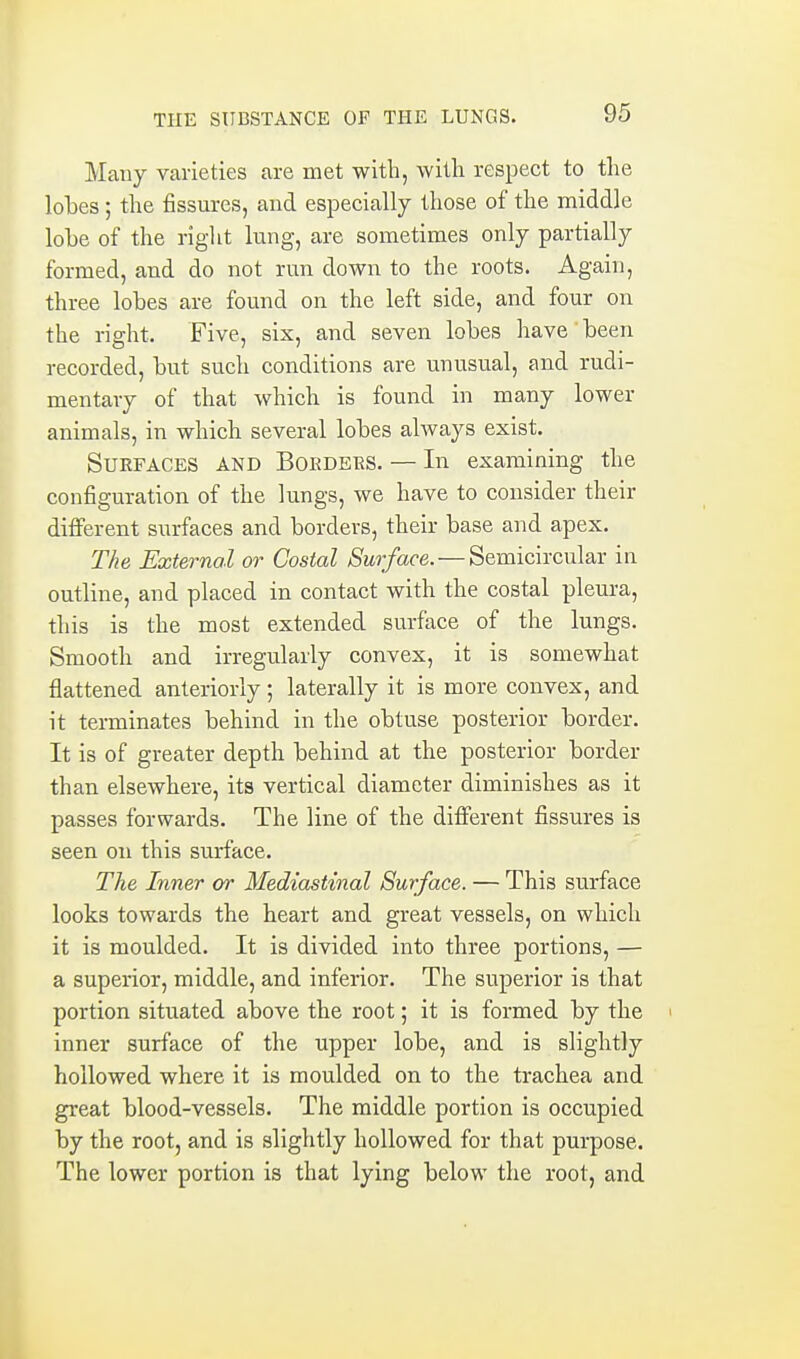 Many varieties are met with, with respect to the lobes; the fissures, and especially those of the middle lobe of the right lung, are sometimes only partially formed, and do not run down to the roots. Again, three lobes are found on the left side, and four on the right. Five, six, and seven lobes have been recorded, but such conditions are unusual, and rudi- mentary of that which is found in many lower animals, in which several lobes always exist. Surfaces and Boedebs. — In examining the configuration of the lungs, we have to consider their different surfaces and borders, their base and apex. The External or Costal Surface. — Semicircular in outline, and placed in contact with the costal pleura, this is the most extended surface of the lungs. Smooth and irregularly convex, it is somewhat flattened anteriorly ; laterally it is more convex, and it terminates behind in the obtuse posterior border. It is of greater depth behind at the posterior border than elsewhere, its vertical diameter diminishes as it passes forwards. The line of the different fissures is seen on this surface. The Inner or Mediastinal Surface. — This surface looks towards the heart and great vessels, on which it is moulded. It is divided into three portions, — a superior, middle, and inferior. The superior is that portion situated above the root; it is formed by the inner surface of the upper lobe, and is slightly hollowed where it is moulded on to the trachea and great blood-vessels. The middle portion is occupied by the root, and is slightly hollowed for that purpose. The lower portion is that lying below the root, and