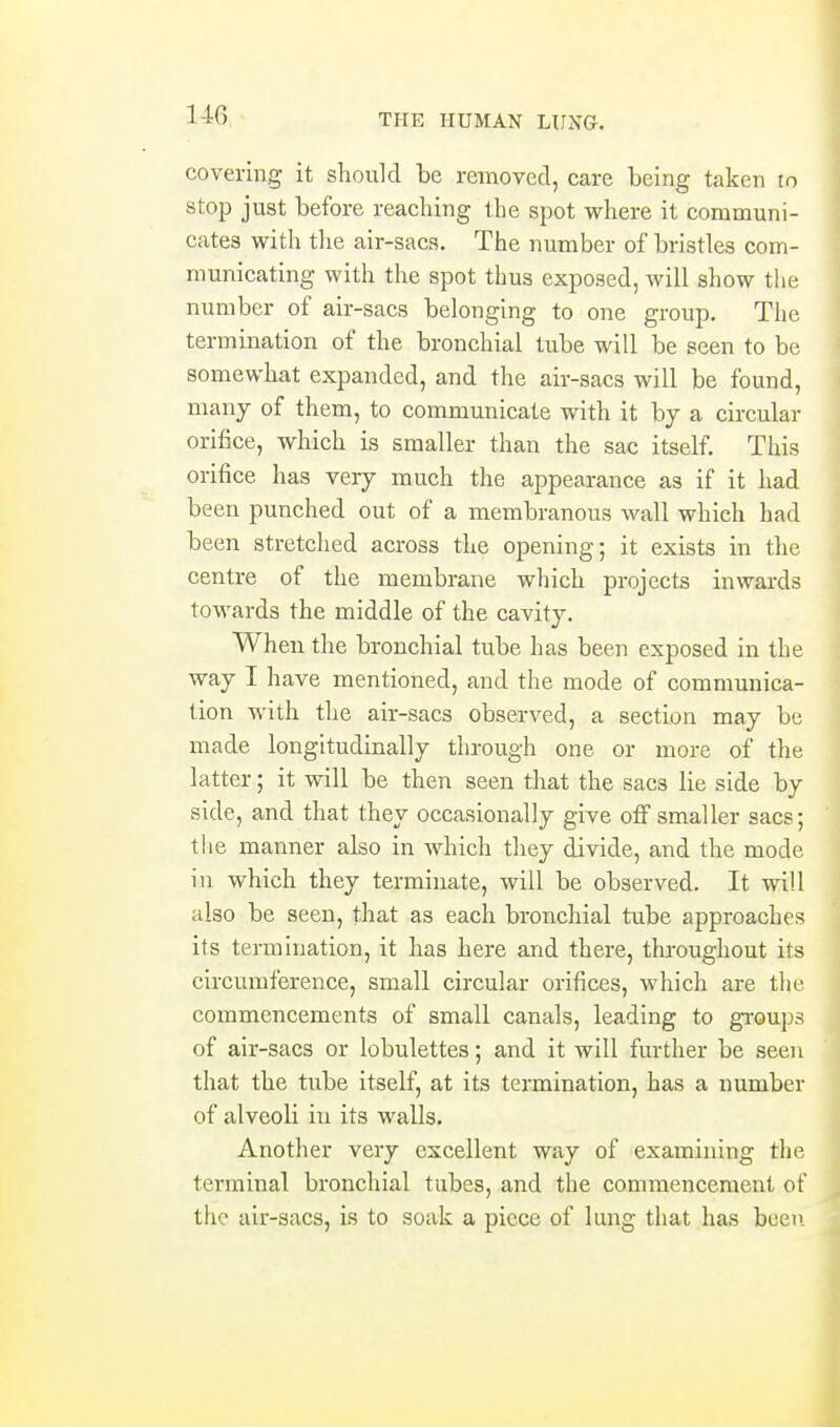 covering it should be reraoved, care being taken to stop just before reaching the spot where it communi- cates with tlie air-sacs. The number of bristles com- municating with the spot thus exposed, will show the number of air-sacs belonging to one group. The termination of the bronchial tube will be seen to be somewhat expanded, and the air-sacs will be found, many of them, to communicate with it by a circular orifice, which is smaller than the sac itself. This orifice has very much the appearance as if it had been punched out of a membranous wall which had been stretched across the opening; it exists in the centre of the membrane which projects inwards towards the middle of the cavity. When the bronchial tube has been exposed in the way I have mentioned, and the mode of communica- tion with the air-sacs observed, a section may be made longitudinally through one or more of the latter; it will be then seen that the sacs lie side by side, and that they occasionally give off smaller sacs; the manner also in which they divide, and the mode in which they terminate, will be observed. It will also be seen, that as each bronchial tube approaches its termination, it has here and there, throughout its circumference, small circular orifices, which are the commencements of small canals, leading to gi-oups of air-sacs or lobulettes; and it will further be seen that the tube itself, at its termination, has a number of alveoli in its walls. Another very excellent way of examining the terminal bronchial tubes, and the commencement of the air-sacs, is to soak a piece of lung that has been