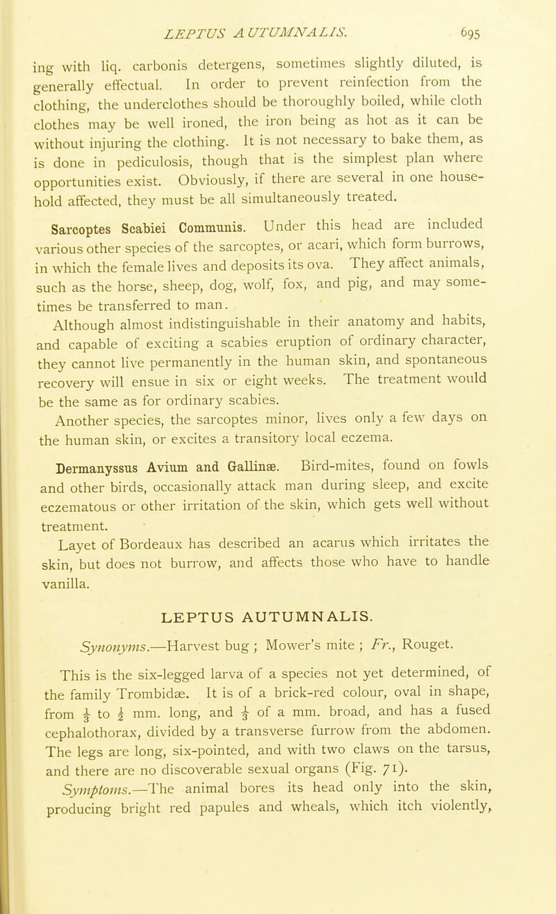 ing with liq. carbonis detergens, sometimes slightly diluted, is generally effectual. In order to prevent reinfection from the clothing, the underclothes should be thoroughly boiled, while cloth clothes may be well ironed, the iron being as hot as it can be without injuring the clothing. It is not necessary to bake them, as is done in pediculosis, though that is the simplest plan where opportunities exist. Obviously, if there are several in one house- hold affected, they must be all simultaneously treated. Sarcoptes Scabiei Communis. Under this head are included various other species of the sarcoptes, or acari, which form burrows, in which the female lives and deposits its ova. They affect animals, such as the horse, sheep, dog, wolf, fox, and pig, and may some- times be transferred to man. Although almost indistinguishable in their anatomy and habits, and capable of exciting a scabies eruption of ordinary character, they cannot live permanently in the human skin, and spontaneous recovery will ensue in six or eight weeks. The treatment would be the same as for ordinary scabies. Another species, the sarcoptes minor, lives only a few days on the human skin, or excites a transitory local eczema. Dermanyssus Avium and Gallinae. Bird-mites, found on fowls and other birds, occasionally attack man during sleep, and excite eczematous or other irritation of the skin, which gets well without treatment. Layet of Bordeaux has described an acarus which irritates the skin, but does not burrow, and affects those who have to handle vanilla. LEPTUS AUTUMN ALIS. Synonyms.—Harvest bug ; Mower's mite ; Fr., Rouget. This is the six-legged larva of a species not yet determined, of the family Trombidae. It is of a brick-red colour, oval in shape, from ^ to i mm. long, and £ of a mm. broad, and has a fused cephalothorax, divided by a transverse furrow from the abdomen. The legs are long, six-pointed, and with two claws on the tarsus, and there are no discoverable sexual organs (Fig. 71). Symptoms.— The animal bores its head only into the skin, producing bright red papules and wheals, which itch violently,