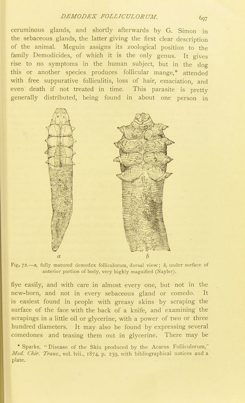 DEMODEX FOLLTCULORUM. ceruminous glands, and shortly afterwards by G. Simon in the sebaceous glands, the latter giving the first clear description of the animal. Meguin assigns its zoological position to the family Demodicides, of which it is the only genus. It gives rise to no symptoms in the human subject, but in the dog this or another species produces follicular mange,* attended with free suppurative folliculitis, loss of hair, emaciation, and even death if not treated in time. This parasite is pretty generally distributed, being found in about one person in it . Fig. 72.—a, fully matured demodex folliculorum, dorsal view; b, under surface of anterior portion of body, very highly magnified (Nayler). five easily, and with care in almost every one, but not in the new-born, and not in every sebaceous gland or comedo. It is easiest found in people with greasy skins by scraping the surface of the face with the back of a knife, and examining the scrapings in a little oil or glycerine, with a power of two or three hundred diameters. It may also be found by expressing several comedones and teasing them out in glycerine. There may be * Sparks,  Disease of the Skin produced by the Acarus Folliculorum, Med. Chir. Trans., vol. lvii., 1874, p. 239, with bibliographical notices and a plate.