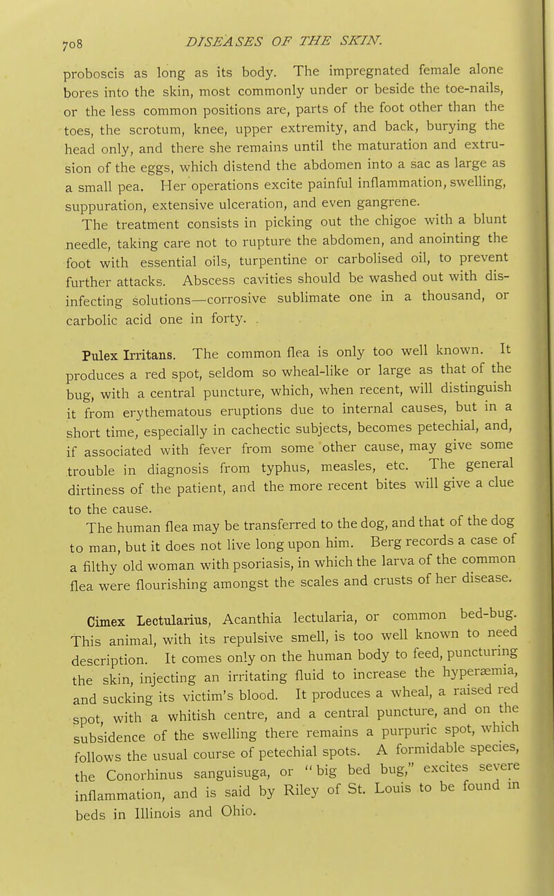 proboscis as long as its body. The impregnated female alone bores into the skin, most commonly under or beside the toe-nails, or the less common positions are, parts of the foot other than the toes, the scrotum, knee, upper extremity, and back, burying the head only, and there she remains until the maturation and extru- sion of the eggs, which distend the abdomen into a sac as large as a small pea. Her operations excite painful inflammation, swelling, suppuration, extensive ulceration, and even gangrene. The treatment consists in picking out the chigoe with a blunt needle, taking care not to rupture the abdomen, and anointing the foot with essential oils, turpentine or carbolised oil, to prevent further attacks. Abscess cavities should be washed out with dis- infecting solutions—corrosive sublimate one in a thousand, or carbolic acid one in forty. . Pulex Irritans. The common flea is only too well known. It produces a red spot, seldom so wheal-like or large as that of the bug, with a central puncture, which, when recent, will distinguish it from erythematous eruptions due to internal causes, but in a short time, especially in cachectic subjects, becomes petechial, and, if associated with fever from some other cause, may give some trouble in diagnosis from typhus, measles, etc. The general dirtiness of the patient, and the more recent bites will give a clue to the cause. The human flea may be transferred to the dog, and that of the dog to man, but it does not live long upon him. Berg records a case of a filthy old woman with psoriasis, in which the larva of the common flea were flourishing amongst the scales and crusts of her disease. Cimex Lectularius, Acanthia lectularia, or common bed-bug. This animal, with its repulsive smell, is too well known to need description. It comes only on the human body to feed, puncturing the skin, injecting an irritating fluid to increase the hyperemia and sucking its victim's blood. It produces a wheal, a raised red spot with a whitish centre, and a central puncture, and on the subsidence of the swelling there remains a purpuric spot, which follows the usual course of petechial spots. A formidable species, the Conorhinus sanguisuga, or big bed bug, excites severe inflammation, and is said by Riley of St. Louis to be found in beds in Illinois and Ohio.