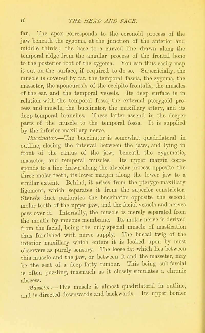 fan. The apex corresponds to tlie coronoid process of the jaw beneath the zygoma, at the junction of the anterior and middle thirds; the base to a curved line drawn along the temporal ridge from the angvdar process of the frontal bone to the posterior root of the zygoma. You can thus easily map it out on the surface, if required to do so. Superficially, the muscle is covered by fat, the temporal fascia, the zygoma, the masseter, the aponeurosis of the occipito-frontalis, the muscles of the ear, and the temporal vessels. Its deep surface is in relation with the temporal fossa, the external pterygoid pro- cess and muscle, the buccinator, the maxillary artery, and its deep temporal branches. These latter ascend in the deeper parts of the muscle to the temporal fossa. It is supplied by the inferior maxillary nerve. Buccinator.—The buccinator is somewhat quadrilateral in outline, closing the interval between the jaws, and lying in front of the ramus of the jaw, beneath the zygomatic, masseter, and temporal muscles. Its upper margin corre- sponds to a line drawn along the alveolar jarocess opposite the three molar teeth, its lower margin along the lower jaw to a similar extent. Behind, it arises from the pterygo-maxillary ligament, Avhich separates it from the superior constrictor. Steno's duct perforates the buccinator opposite the second molar tooth of the upper jaw, and the facial vessels and nerves pass over it. Internally, the muscle is merely separated from the mouth by mucous membrane. Its motor nerve is derived from the facial, being the only special muscle of mastication thus furnished with nerve supply. The buccal twig of the inferior maxillary which enters it is looked upon by most observers as purely sensory. The loose fat which lies between this muscle and the jaw, or between it and the masseter, may be the seat of a deep fatty tumour. This being sub-fascial is often puzzling, inasmuch as it closely simulates a chronic abscess. ikfasseifer.—This muscle is almost quadrilateral in outline, and is directed downwards and backwards. Its upper border