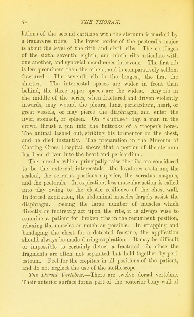 lations of the second cartilage with the sternum is marked by a transverse ridge. The lower border of the pectoralis major is about the level of the fifth and sixth ribs. The cartilages of the sixth, seventh, eighth, and ninth ribs articulate witli one another, and synovial membranes intervene. The first rib is less prominent than the others, and is comparatively seldoni fractured. The seventh rib is the longest, the first the shortest. The intercostal spaces are wider in front than behind, the three upper spaces arc the widest. Any rib in the middle of the series, when fractured and driven violently inwards, may wound the pleura, lung, pericardium, heart, or great vessels, or may pierce the diaphragm, and enter the liver, stomach, or spleen. On  JubUee  day, a man in the crowd thrust a pin into the buttocks of a trooper's horse. The animal lashed out, striking his tormentor on the chest, and he died instantly. The preparation in the Museum of Charing Cross Hospital shows that a portion of the sternum has been driven into the heart and pericardium. The muscles which principally raise the ribs are considered to be the external, intercostals—the levatores costarum, the scaleni, the serratus posticus superior, the serratus magnus, and the pectorals. In expiration, less muscular action is called into play owing to the elastic resilience of the chest wall. In forced expiration, the abdominal muscles largely assist the diaphragm. Seeing the large number of muscles which directly or indirectly act upon the ribs, it is always wise to examine a patient for broken ribs in the recumbent position, relaxing the muscles as much as possible. In strapping and bandaging the chest for a detected fracture, the application should always be made during expiration. It may be difficult or impossible to certainly detect a fractured rib, since tlie fragments are often not separated but held together by peri- osteum. Feel for the crepitus in aU positions of the patient, and do not neglect the use of the stethoscope. The Dorsal Vertehrse.—There are twelve dorsal vertebrae. Their anterior surface forms part of the posterior bony wall of