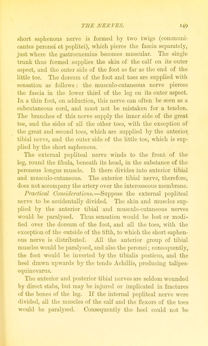 short saphenous nerve is formed by two twigs (communi- cantes peronei et poplitei), Avhich pierce the fascia separately, just where the gastrocnemius becomes muscular. The single trunk thus formed supplies the skin of the calf on its outer aspect, and the outer side of the foot as far as the end of the little toe. The dorsum of the foot and toes are supplied with sensation as follows : the musculo-cutaneous nerve pierces the fascia in the lower third of the leg on its outer aspect. In a thin foot, on adduction, this nerve can often be seen as a subcutaneous cord, and must not be mistaken for a tendon. The branches of this nerve supply the inner side of the great toe, and the sides of all the other toes, with the exception of the great and second toes, which are supplied by the anterior, tibial nerve, and the outer side of the little toe, which is sup- plied by the short saphenous. The external popliteal nerve winds to the front of the leg, round the fibula, beneath its head, in the substance of the peroneus longus muscle. It there divides into anterior tibial and musculo-cutaneous. The anterior tibial nerve, therefore, does not accompany the artery over the interosseous membrane. Practical Considerations.—Suppose the external popliteal nerve to be accidentally divided. The skin and muscles sup- plied by the anterior tibial and musculo-cutaneous nerves would be paralysed. Thus sensation would be lost or modi- hed over the dorsum of the foot, and all the toes, with the exception of the outside of the fifth, to which the short saphen- ous nerve is distributed. All the anterior group of tibial muscles would be paralysed, and also the peronei; consequently, the foot would be inverted by the tibialis posticus, and the heel drawn upwards by the tendo Achillis, producing talipes- equinovarus. The anterior and posterior tibial nerves are seldom wounded by direct stabs, but may be injured or implicated in fractures of the bones of the leg. If the internal popliteal nerve were divided, all the muscles of the calf and the flexors of the toes would be paralysed. Consequently the heel could not bo