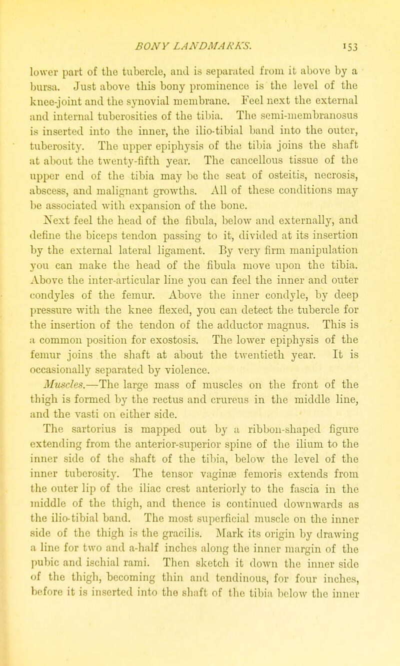 lower part of tlio tubercle, and is separated from it above by a bursa. Just above this bony prominence is the level of the knee-joint and the synovial membrane. Feel next the external and internal tuberosities of the tibia. The somi-iuembranosus is inserted into the inner, the ilio-tibial band into the outer, tuberosity. The upper epiphysis of the tibia joins the shaft at about the twenty-fifth year. The cancellous tissue of the upper end of the tibia may be the scat of osteitis, necrosis, abscess, and malignant growths. All of these conditions may be associated with expansion of the bone. Next feel the head of the fibula, below and externally, and define the biceps tendon passing to it, divided at its insertion by the external lateral ligament. By very firm manipulation you can make the head of the fibula move upon the tibia. Above the inter-articular line you can feel the inner and outer condyles of the femur. Above the inner condyle, by deep pressure with the knee flexed, you can detect the tubercle for the insertion of the tendon of the adductor magnus. This is a common position for exostosis. The lower epiphysis of the femur joins the shaft at about the twentieth year. It is occasionally separated by violence. Muscles.—The large mass of muscles on the front of the thigh is formed by the rectus and crureus in the middle line, and the vasti on either side. The sartorius is mapped out by a ribbon-shaped figure extending from the anterior-superior spine of the ilium to the inner side of the shaft of the tibia, below the level of the inner tuberosity. The tensor vaginse. femoris extends from the outer lip of the iliac crest anteriorly to the fascia in the middle of the thigh, and thence is continued downwards as the ilio-tibial band. The most superficial muscle on the inner side of the thigh is the gracilis. Mark its origin by drawing a line for two and a-half inches along the inner margin of the pubic and ischial rami. Then sketch it down the inner side of the thigh, becoming thin and tendinous, for four inches, before it is inserted into the shaft of the tibia below the inner