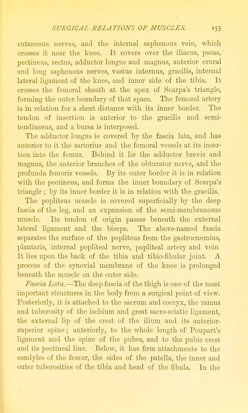 cutaneous nerves, and the internal saplienous vein, which crosses it near the knee. It covers over the iliacus, jDsoas, pectineus, rectus, adductor longus and magnus, anterior crural and long saphenous nerves, vastus internus, gracilis, internal lateral ligament of the knee, and inner side of the tibia. It crosses the femoral sheath at the apex of Scarpa's triangle, forming the outer boundary of that space. The femoral artery is in relation for a short distance with its inner border. The tendon of insertion is anterior to the gracilis and semi- tendinosus, and a bursa is interposed. The adductor longus is covered by the fascia lata, and has anterior to it the sartorius and the femoral vessels at its inser- tion into the femur. Behind it lie the adductor brevis and magnus, the anterior branches of the obturator nerve, and the profunda femoris vessels. By its outer border it is in relation with the pectineus, and forms the inner boundary of Scarpa's triangle; by its inner border it is in relation with the gracilis. The popliteus muscle is covered superficially by the deep fascia of the leg, and an expansion of the semi-membranosus muscle. Its tendon of origin passes beneath the external lateral ligament and the biceps. The above-named fascia separates the surface of the popliteus from the gastrocnemius, plantaris, internal popliteal nerve, popliteal artery and vein It lies upon the back of the tibia and tibio-fibular joint. A process of the synovial membrane of the knee is prolonged beneath the muscle on the outer side. Fascia Lata.—The deep fascia of the thigh is one of the most important structures in the body from a surgical point of view. Posteriorly, it is attached to the sacrum and coccyx, the ramus and tuberosity of the ischium and great sacro-sciatic ligament, the external lip of the crest of the ilium and its anterior- superior spine; anteriorly, to the whole length of Poupart's ligament and the spine of the pubes, and to the pubic crest and its pectineal line. Below, it has firm attachments to the condyles of the femur, the sides of the patella, the inner and outer tuberosities of the tibia and head of the fibula. In the