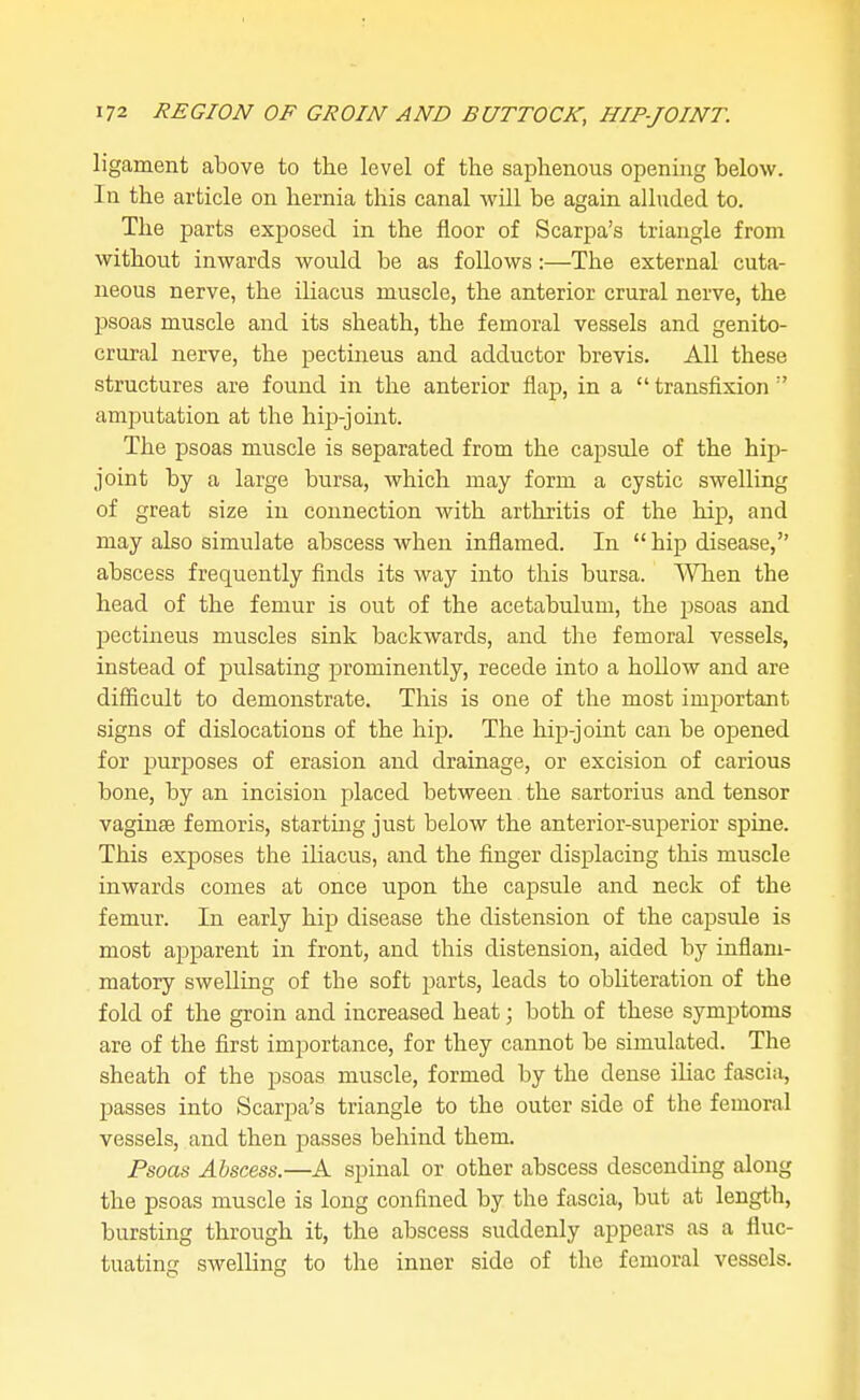 ligament above to the level of the saphenous opening below. In the article on hernia this canal Avill be again alluded to. The parts exposed in the floor of Scarpa's triangle from without inwards would be as follows:—The external cuta- neous nerve, the iliacus muscle, the anterior crural nerve, the psoas muscle and its sheath, the femoral vessels and genito- crural nerve, the pectineus and adductor brevis. All these structures are found in the anterior flap, in a  transfixion  amputation at the hip-joint. The psoas muscle is separated from the capsule of the hip- joint by a large bursa, which may form a cystic swelling of great size in connection with arthritis of the hip, and may also simulate abscess when inflamed. In  hip disease, abscess frequently finds its way into this bursa. AVhen the head of the femur is out of the acetabulum, the psoas and pectineus muscles sink backwards, and the femoral vessels, instead of pulsating prominently, recede into a hollow and are difficult to demonstrate. This is one of the most important signs of dislocations of the hip. The hip-joint can be opened for pur^Doses of erasion and drainage, or excision of carious bone, by an incision placed between the sartorius and tensor vaginae femoris, starting just below the anterior-superior spine. This exposes the iliacus, and the finger displacing this muscle inwards comes at once upon the capsule and neck of the femur. In early hip disease the distension of the capsule is most apparent in front, and this distension, aided by inflam- matory swelling of the soft parts, leads to obhteration of the fold of the groin and increased heat; both of these symptoms are of the first importance, for they cannot be simulated. The sheath of the psoas muscle, formed by the dense iliac fascia, passes into Scarpa's triangle to the outer side of the femoral vessels, and then passes behind them. Psoas Abscess.—A spinal or other abscess descending along the psoas muscle is long confined by the fascia, but at length, bursting through it, the abscess suddenly appears as a fluc- tuating swelling to the inner side of the femoral vessels.