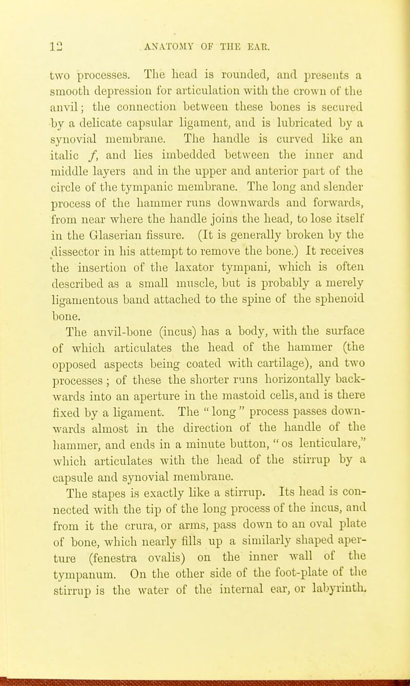 two processes. The head is rounded, and presents a smooth depression for articulation with the crown of the anvU; the connection between these bones is secured by a delicate capsular ligament, and is lubricated by a synovial membrane. The handle is curved like an italic /, and lies imbedded between the inner and middle layers and in the upper and anterior part of the circle of the tympanic membrane. The long and slender process of the hammer runs downwards and forwards, from near where the handle joins the head, to lose itself in the Glaserian fissure. (It is generally broken by the dissector in his attempt to remove the bone.) It receives the insertion of the laxator tympani, which is often described as a small muscle, but is probably a merely ligamentous band attached to the spine of the sphenoid bone. The anvil-bone (incus) has a body, with the surface of which articulates the head of the hammer (the opposed aspects being coated with cartdage), and two processes ; of these the shorter runs horizontally back- wards into an aperture in the mastoid cells, and is there fixed by a ligament. The  long  process passes down- wards almost in the direction of the handle of the hammer, and ends in a minute button,  os lenticulare, which articulates with the head of the stirrup by a capsule and synovial membrane. The stapes is exactly like a stirrup. Its head is con- nected with the tip of the long process of the incus, and from it the crura, or arms, pass down to an oval plate of bone, which nearly fills up a similarly shaped aper- ture (fenestra ovalis) on the inner wall of the tympanum. On the other side of the foot-plate of the stirrup is the water of the internal ear, or labyrinth.