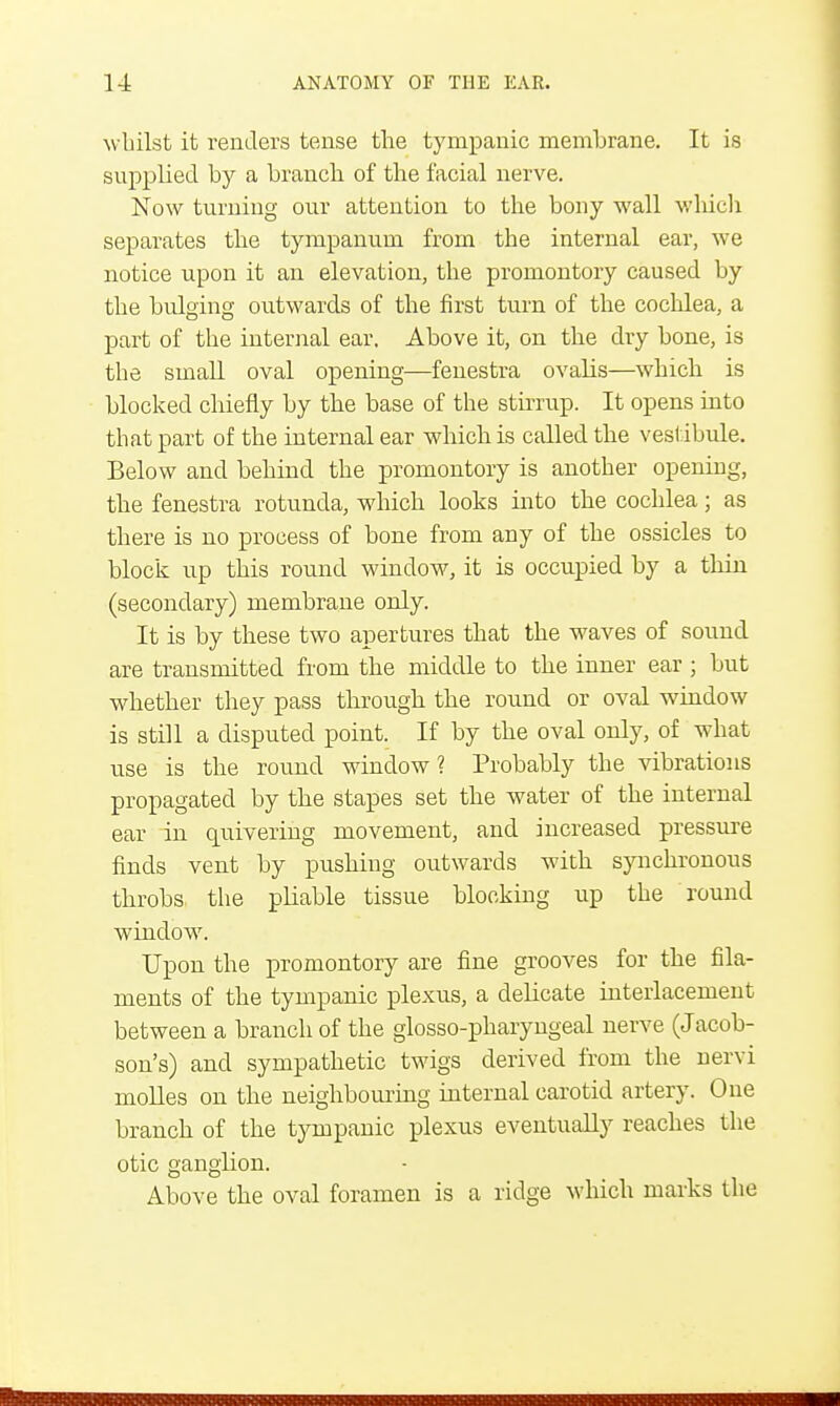 whilst it renders tense the tympanic membrane. It is supplied by a branch of the facial nerve. Now turning our attention to the bony wall which separates the tympanum from the internal ear, we notice upon it an elevation, the promontory caused by the bulging outwards of the first turn of the cochlea, a part of the internal ear, Above it, on the dry bone, is the small oval opening—fenestra ovalis—which is blocked chiefly by the base of the stirrup. It opens into that part of the internal ear which is called the vest ibule. Below and behind the promontory is another opening, the fenestra rotunda, which looks into the cochlea; as there is no process of bone from any of the ossicles to block up this round window, it is occupied by a thin (secondary) membrane only. It is by these two apertures that the waves of sound are transmitted from the middle to the inner ear ; but whether they pass through the round or oval window is still a disputed point. If by the oval only, of what use is the round window? Probably the vibrations propagated by the stapes set the water of the internal ear in quivering movement, and increased pressure finds vent by pushing outwards with synchronous throbs the pliable tissue blocking up the round window. Upon the promontory are fine grooves for the fila- ments of the tympanic plexus, a delicate interlacement between a branch of the glosso-pharyngeal nerve (Jacob- son's) and sympathetic twigs derived from the nervi molles on the neighbouring internal carotid artery. One branch of the tympanic plexus eventually reaches the otic ganglion. Above the oval foramen is a ridge which marks the