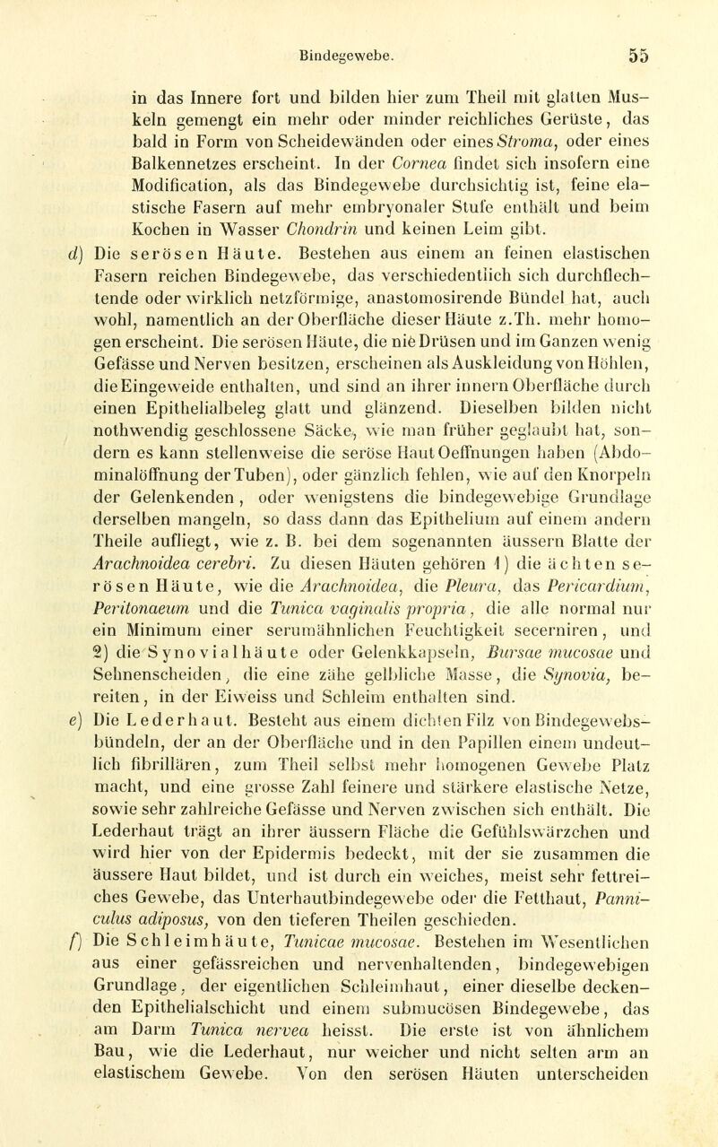 in das Innere fort und bilden hier zum Theil mit glatten Mus- keln gemengt ein mehr oder minder reichliches Gerüste, das bald in Form von Scheidewänden oder eines Stromüj oder eines Balkennetzes erscheint. In der Cornea findet sich insofern eine Modification, als das Bindegewebe durchsichtig ist, feine ela- stische Fasern auf mehr embryonaler Stufe enthält und beim Kochen in Wasser Chondrin und keinen Leim gibt. d) Die serösen Häute. Bestehen aus einem an feinen elastischen Fasern reichen Bindegewebe, das verschiedentlich sich durchflech- tende oder wirklich netzförmige, anastomosirende Bündel hat, auch wohl, namentlich an der Oberfläche dieser Häute z.Th. mehr homo- gen erscheint. Die serösen Häute, die niö Drüsen und im Ganzen wenig Gefässe und Nerven besitzen, erscheinen als Auskleidung von Höhlen, dieEingeweide enthalten, und sind an ihrer Innern Oberfläche durch einen Epithelialbeleg glatt und glänzend. Dieselben bilden nicht nothwendig geschlossene Säcka, wie man früher geglaubt hat^ son- dern es kann stellenweise die seröse Haut Oeffnungen haben (Abdo- minalöffnung der Tuben), oder gänzlich fehlen, wie auf den Knorpeln der Gelenkenden , oder wenigstens die bindegewebige Grundlage derselben mangeln, so dass dann das Epithehum auf einem andern Theile aufliegt, wie z. B. bei dem sogenannten äussern Blatte der Arachnoidea cerehH. Zu diesen Häuten gehören \ ) die ächten se- rösen Häute, Wie dde Arachnoidea^ die Pleura, das Perica7dium, Peritonaeum und die Tunica vaginalis propria, die alle normal nur ein Minimum einer seruraähnlichen Feuchtigkeit secerniren, und 2) die Synovial häute oder Gelenkkapseln, Biirsae mucosae und Sehnenscheiden ^ die eine zähe gelbliche Masse, die Synovia, be- reiten , in der Eiweiss und Schleim enthalten sind. e) Die Leder haut. Besteht aus einem dichten Filz von Bindegewebs- bündeln, der an der Oberfläche und in den Papillen einem undeut- lich fibrillären, zum Theil selbst mehr homogenen Gewebe Platz macht, und eine grosse Zahl feinere und stärkere elastische Netze, sowie sehr zahlreiche Gefässe und Nerven zwischen sich enthält. Die Lederhaut trägt an ihrer äussern Fläche die Gefühlswärzchen und wird hier von der Epidermis bedeckt, mit der sie zusammen die äussere Haut bildet, und ist durch ein weiches, meist sehr fettrei- ches Gewebe, das Unterhautbindegewebe oder die Fetthaut, Panni- culus adiposus, von den tieferen Theilen geschieden. f) Die Sohleimh äute, Timicae mucosae. Bestehen im Wesentlichen aus einer gefässreichen und nervenhaltenden, bindegewebigen Grundlage, der eigenthchen Schleimhaut, einer dieselbe decken- den Epithelialschicht und einem submucösen Bindegewebe, das am Darm Tunica nervea heisst. Die erste ist von ähnlichem Bau, wie die Lederhaut, nur weicher und nicht selten arm an elastischem Gewebe. Von den serösen Häuten unterscheiden