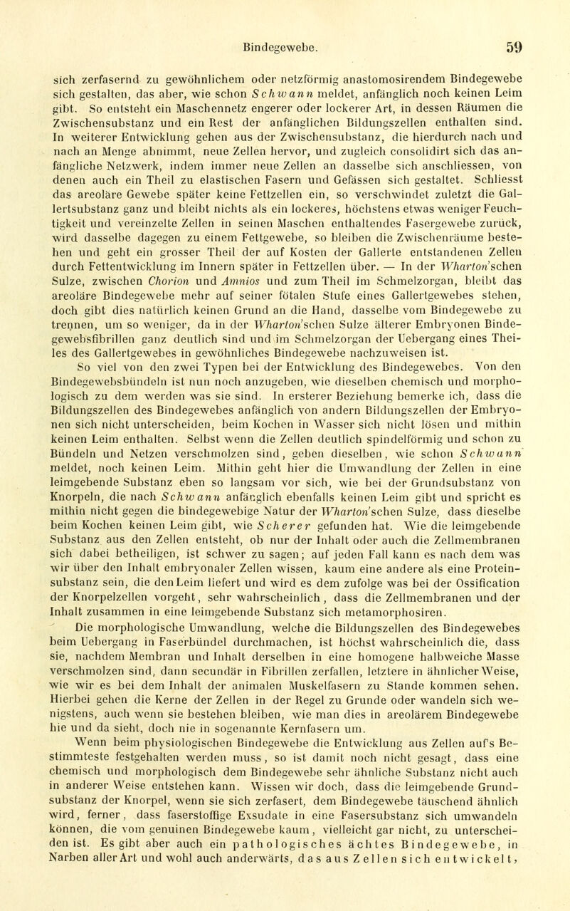 sich zerfasernd zu gewöhnlichem oder netzförmig anastomosirendem Bindegewebe sich gestalten, das aber, wie schon Schwann meldet, anfänglich noch keinen Leim gibt. So entsteht ein Maschennetz engerer oder lockerer Art, in dessen Räumen die Zwischensubstanz und ein Rest der anfänglichen Bildungszellen enthalten sind. In weiterer Entwicklung gehen aus der Zwischensubstanz, die hierdurch nach und nach an Menge abnimmt, neue Zellen hervor, und zugleich consolidirt sich das an- fängliche Netzwerk, indem immer neue Zellen an dasselbe sich anschliessen, von denen auch ein Theil zu elastischen Fasern und Gefässen sich gestaltet. Schliesst das areoläre Gewebe später keine Fettzellen ein, so verschwindet zuletzt die Gal- lertsubstanz ganz und bleibt nichts als ein lockeres, höchstens etwas weniger Feuch- tigkeit und vereinzelte Zellen in seinen Maschen enthaltendes Fasergewebe zurück, wird dasselbe dagegen zu einem Fettgewebe, so bleiben die Zwischenräume beste- hen und geht ein grosser Theil der auf Kosten der Gallerte entstandenen Zellen durch Fettentwicklung im Innern später in Fettzellen über. — In der Ty/irtr/on'schen Sülze, zwischen Chorion und Amnios und zum Theil im Schmelzorgan, bleibt das areoläre Bindegewebe mehr auf seiner fötalen Stufe eines Gallertgewebes stehen, doch gibt dies natürlich keinen Grund an die Hand, dasselbe vom Bindegewebe zu trennen, um so w^eniger, da in der Wharton'schen Sülze älterer Embryonen Binde- gewebsfibrillen ganz deutlich sind und im Schmelzorgan der Uebergang eines Thei- les des Gallertgewebes in gewöhnliches Bindegewebe nachzuweisen ist. So viel von den zwei Typen bei der Entwicklung des Bindegewebes. Von den Bindegewebsbündeln ist nun noch anzugeben, wie dieselben chemisch und morpho- logisch zu dem werden was sie sind. In ersterer Beziehung bemerke ich, dass die Bildungszellen des Bindegewebes anfänglich von andern Bildungszellen der Embryo- nen sich nicht unterscheiden, beim Kochen in Wasser sich nicht lösen und mithin keinen Leim enthalten. Selbst wenn die Zellen deutlich spindelförmig und schon zu Bündeln und Netzen verschmolzen sind, geben dieselben, wie schon Schwann meldet, noch keinen Leim. Mithin geht hier die Umwandlung der Zellen in eine leimgebende Substanz eben so langsam vor sich, wie bei der Grundsubstanz von Knorpeln, die nach Schwann anfänglich ebenfalls keinen Leim gibt und spricht es mithin nicht gegen die bindegewebige Natur der Wharton'schen Sülze, dass dieselbe beim Kochen keinen Leim gibt, -wie Scherer gefunden hat. Wie die leimgebende Substanz aus den Zellen entsteht, ob nur der Inhalt oder auch die Zellmembranen sich dabei betheiligen, ist schwer zu sagen; auf jeden Fall kann es nach dem was wir über den Inhalt embryonaler Zellen wissen, kaum eine andere als eine Protein- substanz sein, die den Leim liefert und wird es dem zufolge was bei der Ossification der Knorpelzellen vorgeht, sehr wahrscheinlich , dass die Zellmembranen und der Inhalt zusammen in eine leimgebende Substanz sich metamorphosiren. Die morphologische Umwandlung, welche die Bildungszellen des Bindegewebes beim Uebergang in Faserbündel durchmachen, ist höchst wahrscheinlich die, dass sie, nachdem Membran und Inhalt derselben in eine homogene halbweiche Masse verschmolzen sind, dann secundär in Fibrillen zerfallen, letztere in ähnlicher Weise, wie wir es bei dem Inhalt der animalen Muskelfasern zu Stande kommen sehen. Hierbei gehen die Kerne der Zellen in der Regel zu Grunde oder wandeln sich we- nigstens, auch wenn sie bestehen bleiben, wie man dies in areolärem Bindegewebe hie und da sieht, doch nie in sogenannte Kernfasern um. Wenn beim physiologischen Bindegewebe die Entwicklung aus Zellen auf's Be- stimmteste festgehalten werden muss, so ist damit noch nicht gesagt, dass eine chemisch und morphologisch dem Bindegewebe sehr ähnliche Substanz nicht auch in anderer Weise entstehen kann. Wissen wir doch, dass die leimgebende Grund- substanz der Knorpel, wenn sie sich zerfasert, dem Bindegewebe täuschend ähnlich wird, ferner, dass faserstoffige Exsudate in eine Fasersubstanz sich umwandeln können, die vom genuinen Bindegewebe kaum, vielleicht gar nicht, zu unterschei- den ist. Es gibt aber auch ein pathologisches achtes Bindegewebe, in Narben aller Art und wohl auch anderwärts, das aus Zellen sich entwickelt,