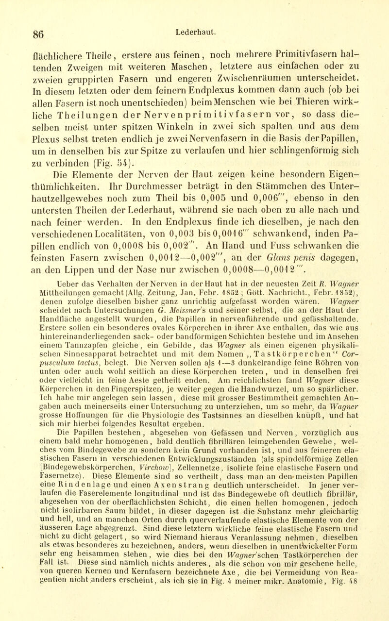 flächlichere Theile, erstere aus feinen, noch mehrere Primitivfasern hal- tenden Zweigen mit weiteren Maschen, letztere aus einfachen oder zu zweien gruppirten Fasern und engeren Zwischenräumen unterscheidet. In diesem letzten oder dem feinern Endplexus kommen dann auch (ob bei allen Fasern ist noch unentschieden) beim Menschen wie bei Thieren wirk- liche Theilungen der Nervenprimitivfasern vor, so dass die- selben meist unter spitzen Winkeln in zwei sich spalten und aus dem Plexus selbst treten endlich je zwei Nervenfasern in die Basis der Papillen, um in denselben bis zur Spitze zu verlaufen und hier schlingenförmig sich zu verbinden (Fig. 54). Die Elemente der Nerven der Haut zeigen keine besondern Eigen- thümlichkeiten. Ihr Durchmesser beträgt in den Stämmchen des Unter- hautzellgewebes noch zum Theil bis 0,005 und 0,006', ebenso in den untersten Theilen der Lederhaut, während sie nach oben zu alle nach und nach feiner werden. In den Endplexus finde ich dieselben, je nach den verschiedenenLocalitäten, von 0,003 bis0,0016' schwankend, inden Pa- pillen endlich von 0,0008 bis 0,002 . An Hand und Fuss schwanken die feinsten Fasern zwischen 0,0012—0,002', an der Glans peius dagegen, an den Lippen und der Nase nur zwischen 0,0008—0,0012'. Ueber das Verhalten der Nerven in der Haut hat in der neuesten Zeit R. Wagner Mittheilungen gemacht (Allg. Zeitung, Jan. Febr. 1852 ; Gött. Nachricht., Febr. 1852), denen zufolge dieselben bisher ganz unrichtig aufgefasst worden wären. Wagner scheidet nach Untersuchungen G. Meissner's und seiner selbst, die an der Haut der Handfläche angestellt wurden, die Papillen in nervenführende und gefässhaltende. Erstere sollen ein besonderes ovales Körperchen in ihrer Axe enthalten, das wie aus hintereinanderliegenden sack- oder bandförmigen Schichten bestehe und im Ansehen einem Tannzapfen gleiche, ein Gebilde, das Wagner als einen eigenen physikali- schen Sinnesapparat betrachtet und mit dem Namen T a stkörperchen  Cor- pusculum tactus, belegt. Die Nerven sollen als 1—3 dunkelrandige feine Röhren von unten oder auch wohl seitlich an diese Körperchen treten, und in denselben frei oder vielleicht in feine Aeste getheilt enden. Am reichlichsten fand Wagner diese Körperchen in den Fingerspitzen, je weiter gegen die Handwurzel, um so spärlicher. Ich habe mir angelegen sein lassen, diese mit grosser Bestimmtheit gemachten An- gaben auch meinerseits einer Untersuchung zu unterziehen, um so mehr, da Wagner grosse Hoffnungen für die Physiologie des Tastsinnes an dieselben knüpft, und hat sich mir hierbei folgendes Resultat ergeben. Die Papillen bestehen, abgesehen von Gefässen und Nerven, vorzüglich aus einem bald mehr homogenen , bald deutlich fibrillären leimgebenden Gewebe , wel- ches vom Bindegewebe zu sondern kein Grund vorhanden ist, und aus feineren ela- stischen Fasern in verschiedenen Entwicklungszuständen (als spindelförmige Zellen [Bindegewebskörperchen, Virchow], Zellennetze, isolirte feine elastische Fasern und Fasernetze). Diese Elemente sind so vertheilt, dass man an den-meisten Papillen eine Ri n d en läge und einen Ax en stran g deutlich unterscheidet. In jener ver- laufen die Faserelemente longitudinal und ist das Bindegewebe oft deutlich fibrillär, abgesehen von der oberflächlichsten Schicht, die einen hellen homogenen, jedoch nicht isolirbaren Saum bildet, in dieser dagegen ist die Substanz mehr gleichartig und hell, und an manchen Orten durch querverlaufende elastische Elemente von der äusseren Lage abgegrenzt. Sind diese letztern wirkliche feine elastische Fasern und nicht zu dicht gelagert, so wird Niemand hieraus Veranlassung nehmen , dieselben als etwas besonderes zu bezeichnen, anders, wenn dieselben in unentwickelter Form sehr eng beisammen stehen, wie dies bei den Wagner sehen Tastkörperchen der Fall ist. Diese sind nämlich nichts anderes, als die schon von mir gesehene helle, von queren Kernen und Kernfasern bezeichnete Axe, die bei Vermeidung von Rea- gentien nicht anders erscheint, als ich sie in Fig. 4 meiner mikr. Anatomie, Fig. 48