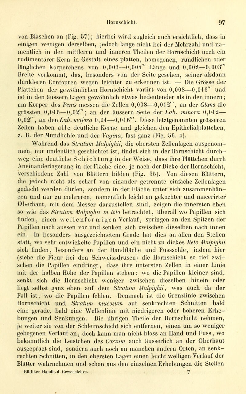 von Bläschen an (Fig. 57); hierbei wird zugleich auch ersichtlich, dass in einigen wenigen derselben, jedoch lange nicht bei der Mehrzahl und na- mentlich in den mittleren und inneren Theilen der Hornschicht noch ein rudimentärer Kern in Gestalt eines platten, homogenen, rundlichen oder länglichen Körperchens von 0,003—0,004' Länge und 0,002—0,003' Breite vorkommt, das, besonders A^on der Seite gesehen, seiner alsdann dunkleren Contouren wegen leichter zu erkennen ist. — Die Grösse der Plättchen der gewöhnlichen Hornschicht variirt von 0,008—0,016' und ist in den äussern Lagen gewöhnlich etwas bedeutender als in den Innern; am Körper des Penis messen die Zellen 0,008—0,012', an der Glans die grössten 0,016—0,02'; an der äussern Seite der Lab. minora 0,012— 0,02', an den Lab. mojora 0,01—0,016'. Diese letztgenannten grösseren Zellen haben alle deutliche Kerne und gleichen den Epithelialplättchen, z. B. der Mundhöhle und der Vagina, fast ganz (Fig. 56. 4). Während das Stratum Malpighii, die obersten Zellenlagen ausgenom- men, nur undeutlich geschichtet ist, findet sich in der Hornschicht durch- weg eine deutliche Schichtung in der Weise, dass ihre Plättchen durch Aneinanderlagerung in der Fläche eine, je nach der Dicke der Hornschicht, verschiedene Zahl von Blättern bilden (Fig. 55). Von diesen Blättern, die jedoch nicht als scharf von einander getrennte einfache Zellenlagen gedacht werden dürfen, sondern in der Fläche unter sich zusammenhän- gen und nur zu mehreren, namentlich leicht an gekochter und macerirter Oberhaut, mit dem Messer darzustellen sind, zeigen die innersten eben so wie das Stratum Malpighii in toto betrachtet, überall wo Papillen sich finden, einen wellenförmigen Verlauf, springen an den Spitzen der Papillen nach aussen vor und senken sich zwischen dieselben nach innen ein. In besonders ausgezeichnetem Grade hat dies an allen den Stellen statt, wo sehr entwickelte Papillen und ein nicht zu dickes Rete Malpighii sich finden, besonders an der Handfläche und Fusssohle, indem hier (siehe die Figur bei den Schweissdrüsen) die Hornschicht so tief zwi- schen die Papillen eindringt, dass ihre untersten Zellen in einer Linie mit der halben Höhe der Papillen stehen; wo die Papillen kleiner sind, senkt sich die Hornschicht weniger zwischen dieselben hinein oder liegt selbst ganz eben auf dem Stratum Malpighii, was auch da der Fall ist, wo die Papillen fehlen. Demnach ist die Grenzlinie zwischen Hornschicht und Stratum mucosum auf senkrechten Schnitten bald eine gerade, bald eine Wellenhnie mit niedrigeren oder höheren Erhe- bungen und Senkungen. Die übrigen Theile der Hornschicht nehmen, je weiter sie von der Schleimschicht sich entfernen, einen um so weniger gebogenen Verlauf an, doch kann man nicht bloss an Hand und Fuss, wo bekanntlich die Leistchen des Corium auch äusserlich an der Oberhaut ausgeprägt sind, sondern auch noch an manchen andern Orten, an senk- rechten Schnitten; in den obersten Lagen einen leicht welligen Verlauf der Blätter wahrnehmen und schon aus den einzelnen Erhebungen die Stellen Kölliker Haudb. d. Gewebelehre. 7