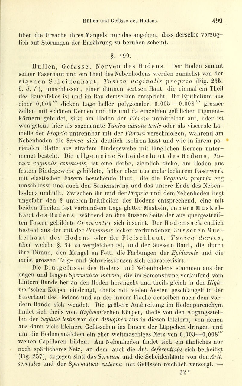 über die Ursache ihres Mangels nur das angeben, dass derselbe vorzüg- lich auf Störungen der Ernährung zu beruhen scheint. §. 199. Hüllen, Gefässe, Nerven des Hodens. Der Hoden sammt seiner Faserhaut und ein Theil des Nebenhodens werden zunächst von der eigenen Scheidenhaut, Tunica vaginalis propria (Fig. 255. h. d. f.), umschlossen, einer dünnen serösen Haut^ die einmal ein Theil des Bauchfelles ist und im Bau demselben entspricht. Ihr Epithelium aus einer 0,005' dicken Lage heller polygonaler, 0,005 — 0,008' grosser Zellen mit schönen Kernen und hie und da einzelnen gelblichen Pigment- körnern gebildet, sitzt am Hoden der Fibrosa unmittelbar auf, oder ist wenigstens hier als sogenannte Tunica adnata testis oder als viscerale La- melle der Propria untrennbar mit der Fibrosa verschmolzen, während am Nebenhoden die Serosa sich deutlich isoliren lässt und wie in ihrem pa- * rietalen Blatte aus straffem Bindegewebe mit länglichen Kernen unter- mengt besteht. Die all ge m e in e Schei denhau t de s Ho den s^ Tu- nica vaginalis communis^ ist eine derbe, ziemlich dicke, am Hoden aus festem Bindegewebe gebildete, höher oben aus mehr lockerem Faserwerk mit elastischen Fasern bestehende Haut, die die Vaginalis propria eng umschliesst und auch den Samenstrang und das untere Ende des Neben- hodens umhüllt. Zwischen ihr und der Propria und dern^ Nebenhoden liegt ungefähr den 2 unteren Drittheilen des Hodens entsprechend, eine mit beiden Theilen fest verbundene Lage glatter Muskeln, innere Muskel- haut des Hodens, während an ihre äussere Seite der aus quergestreif- ten Fasern gebildete Cremaster sich inserirt. Der Hodensack endlich besteht aus der mit der Communis locker verbundenen äusseren Mus- kelhaut des Hodens oder der Fleischhaut, Tunica dartos, über welche §. 34 zu vergleichen ist, und der äussern Haut, die durch ihre Dünne, den Mangel an Fett, die Färbungen der Epidermis und die meist grossen Talg- und Schweissdrüsen sich characterisirt. Die Blutgefässe des Hodens und Nebenhodens stammen aus der engen und langen Spermatica interna, die im Samenstrang verlaufend vom hintern Rande her an den Hoden herangeht und theils gleich in den High- mor'schen Körper eindringt, theils mit vielen Aesten geschlängelt in der Faserhaut des Hodens und an der innern Fläche derselben nach dem vor- dem Rande sich wendet. Die gröbere Ausbreitung im Hodenparenchym findet sich theils vom Highmor'schen Körper, theils von den Abgangsstel- len der Septula testis von der Älbuginea aus in diesen letztern, von denen aus dann viele kleinere Gefässchen ins Innere der Läppchen dringen und um die Hodencanälchen ein eher weitmaschiges Netz von 0,003—0,008' weiten Capillaren bilden. Am Nebenhoden findet sich ein ähnliches nur noch spärlicheres Netz, an dem auch die Art. deferentialis sich betheiligt (Fig. 257), dagegen sind das Scrotum und die Scheidenhäute von den^r^^. scrotales und der Spermatica externa mit Gefässen reichlich versorgt. — 32*