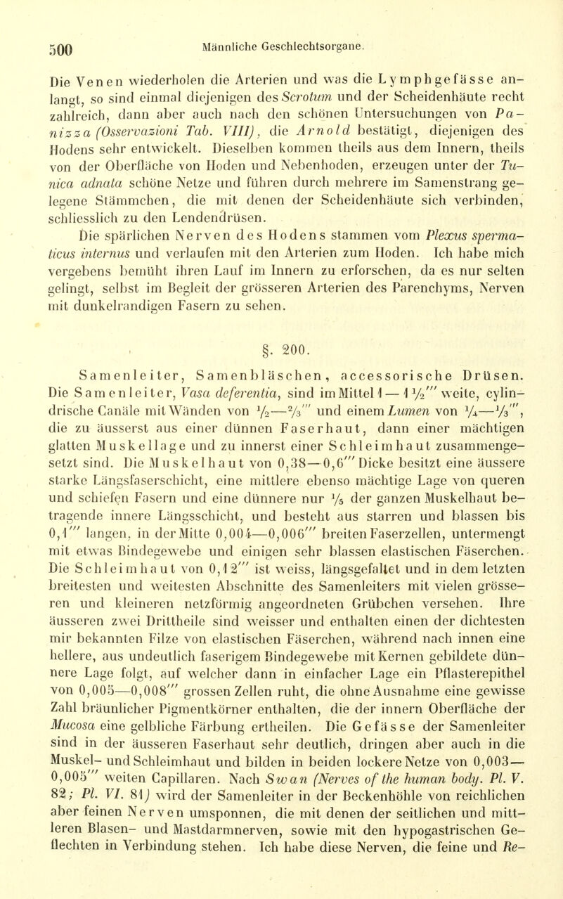 Die Venen wiederholen die Arterien und was die Lymphgefässe an- langt, so sind einmal diejenigen des Scroium und der Scheidenhäute recht zahlreich, dann aber auch nach den schönen Untersuchungen von Pa- nizza (Osservazioni Tab. VIII), die Arnold bestätigt, diejenigen des Hodens sehr entwickelt. Dieselben kommen theils aus dem Innern, theils von der Oberfläche von Hoden und Nebenhoden, erzeugen unter der Tu- nica adnata schöne Netze und führen durch mehrere im Samenstrang ge- legene Stämmchen, die mit denen der Scheidenhäute sich verbinden, schliesslich zu den Lendendrüsen. Die spärlichen Nerven des Hodens stammen vom Plexus sperma- ticus internus und verlaufen mit den Arterien zum Hoden. Ich habe mich vergebens bemüht ihren Lauf im Innern zu erforschen, da es nur selten gelingt, selbst im Begleit der grösseren Arterien des Parenchyms, Nerven mit dunkelrandigen Fasern zu sehen. §. 200. Samenleiter, Samenbläschen, accessorische Drüsen. Die Samenleiter, Vasa deferentia^ sind imMitteli — 1 Yo' weite, cylin- drische Canäle mit Wänden von Yo—Ys  und einem Zwmen von Y4—Ys j die zu äusserst aus einer dünnen Faserhaut, dann einer mächtigen glatten Muskellage und zu innerst einer Schleimhaut zusammenge- setzt sind. Die Muskel haut von 0,38—0,6' Dicke besitzt eine äussere starke Längsfaserschicht, eine mittlere ebenso mächtige Lage von queren und schiefen Fasern und eine dünnere nur Ys der ganzen Muskelhaut be- tragende innere Längsschicht, und besteht aus starren und blassen bis 0,r langen, in der Mitte 0^004—0,006' breiten Faserzellen, untermengt mit etwas Bindegewebe und einigen sehr blassen elastischen Fäserchen. Die Schleimhaut von 0,12' ist weiss, längsgefaltet und in dem letzten breitesten und weitesten Abschnitte des Samenleiters mit vielen grösse- ren und kleineren netzförmig angeordneten Grübchen versehen. Ihre äusseren zwei Drittheile sind weisser und enthalten einen der dichtesten mir bekannten Filze von elastischen Fäserchen, während nach innen eine hellere, aus undeutlich faserigem Bindegewebe mit Kernen gebildete dün- nere Lage folgt, auf welcher dann in einfacher Lage ein Pflasterepithel von 0,005—0,008' grossen Zellen ruht, die ohne Ausnahme eine gewisse Zahl bräunlicher Pigmentkörner enthalten, die der Innern Oberfläche der Mucosa eine gelbliche Färbung ertheilen. Die Gefässe der Samenleiter sind in der äusseren Faserhaut sehr deutlich, dringen aber auch in die Muskel- und Schleimhaut und bilden in beiden lockere Netze von 0,003 — 0,005 weiten Capillaren. Nach Swan (Nerves of the human body. PL V. 82; PL VI. 81) wird der Samenleiter in der Beckenhöhle von reichlichen aber feinen Nerven umsponnen, die mit denen der seitlichen und mitt- leren Blasen- und Mastdarmnerven, sowie mit den hypogastrischen Ge- flechten in Verbindung stehen. Ich habe diese Nerven, die feine und Re-