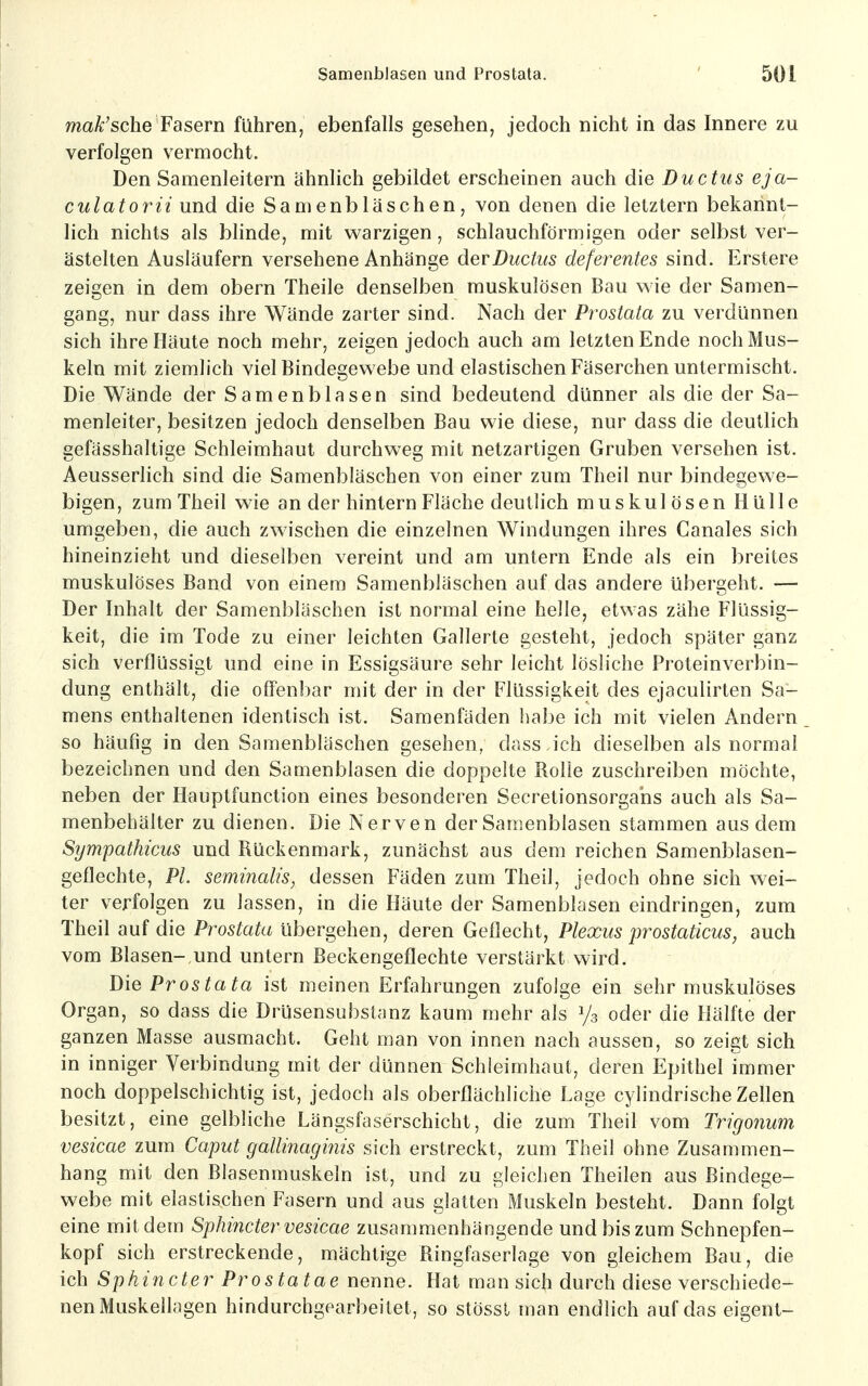ma^'sche Fasern führen, ebenfalls gesehen, jedoch nicht in das Innere zu verfolgen vermocht. Den Samenleitern ähnlich gebildet erscheinen auch die Ductus eja- culatorii und die Samenbläschen, von denen die letztern bekannt- lich nichts als blinde, mit warzigen, schlauchförmigen oder selbst ver- ästelten Ausläufern versehene Anhänge der Ductus deferentes sind. Erstere zeigen in dem obern Theile denselben muskulösen Bau wie der Samen- gang, nur dass ihre Wände zarter sind. Nach der Prostata zu verdünnen sich ihre Häute noch mehr, zeigen jedoch auch am letzten Ende noch Mus- keln mit ziemlich viel Bindegewebe und elastischen Fäserchen untermischt. Die Wände der Samenblasen sind bedeutend dünner als die der Sa- menleiter, besitzen jedoch denselben Bau wie diese, nur dass die deutlich gefässhaltige Schleimhaut durchweg mit netzartigen Gruben versehen ist. Aeusserlich sind die Samenbläschen von einer zum Theil nur bindegewe- bigen, zum Theil wie an der hintern Fläche deutlich muskulösen Hülle umgeben, die auch zwischen die einzelnen Windungen ihres Canales sich hineinzieht und dieselben vereint und am untern Ende als ein breites muskulöses Band von einem Samenbläschen auf das andere übergeht. — Der Inhalt der Samenbläschen ist normal eine helle, etwas zähe Flüssig- keit, die im Tode zu einer leichten Gallerte gesteht, jedoch später ganz sich verflüssigt und eine in Essigsäure sehr leicht lösliche Proteinverbin- dung enthält, die offen!)ar mit der in der Flüssigkeit des ejaculirten Sa- mens enthaltenen identisch ist. Samenfäden habe ich mit vielen Andern so häufig in den Samenbläschen gesehen, dass .ich dieselben als normal bezeichnen und den Samenblasen die doppelte Rolle zuschreiben möchte, neben der Hauptfunction eines besonderen Secretionsorgahs auch als Sa- menbehälter zu dienen. Die Nerven der Samenblasen stammen aus dem Sympathicus und Rückenmark, zunächst aus dem reichen Samenblasen- geflechte, PI. seminalis, dessen Fäden zum Theil, jedoch ohne sich wei- ter verfolgen zu lassen, in die Häute der Samenblasen eindringen, zum Theil auf die Prostata übergehen, deren Geflecht, Plexus prostaticus, auch vom Blasen-,und untern Beckengeflechte verstärkt wird. Die Prostata ist meinen Erfahrungen zufolge ein sehr muskulöses Organ, so dass die Drüsensubstanz kaum mehr als Ys oder die Hälfte der ganzen Masse ausmacht. Geht man von innen nach aussen, so zeigt sich in inniger Verbindung mit der dünnen Schleimhaut, deren Epithel immer noch doppelschichtig ist, jedoch als oberflächliche Lage cylindrische Zellen besitzt, eine gelbliche Längsfaserschicht, die zum Theil vom Trigonum vesicae zum Caput gallinagmis sich erstreckt, zum Theil ohne Zusammen- hang mit den ßlasenmuskeln ist, und zu gleichen Theilen aus Bindege- webe mit elastischen Fasern und aus glatten Muskeln besteht. Dann folgt eine mit dem Sphincter vesicae zusammenhängende und bis zum Schnepfen- kopf sich erstreckende, mächtige Ringfaserlage von gleichem Bau, die ich Sphincter Prostatae nenne. Hat man sich durch diese verschiede- nen Muskeilagen hindurchgearbeitet, so stössl man endlich auf das eigent-