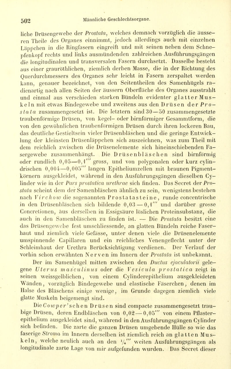 liehe Drüsengewebe der Prostata^ welches demnach vorzüglich die äusse- ren Theile des Organes einnimmt^ jedoch allerdings auch mit einzelnen Läppchen in die Ringfasern eingreift und mit seinen neben dem Schne- pfenkopf rechts und links ausmündenden zahlreichen Ausführungsgängen die longitudinalen und transversalen Fasern durchsetzt. Dasselbe besteht aus einer grauröthlichen, ziemlich derben Masse, die in der Richtung des Querdurchmessers des Organes sehr leicht in Fasern zerspaltet werden kann, genauer bezeichnet, von den Seitentheilen des Samenhügels ra- dienartig nach allen Seiten der äussern Oberfläche des Organes ausstrahlt und einmal aus verschieden starken Bündeln evidenter glatterMus- keln mit etwas Bindegewebe und zweitens aus den Drüsen der Pro- stata zusammengesetzt ist. Die letztern sind30—50 zusammengesetzte traubenförmige Drüsen, von kegel- oder birnförmiger Gesammtform, die von den gewöhnlichen traubenförmigen Drüsen durch ihren lockeren Bau, das deutliche Gestieltsein vieler Drüsenbläschen und die geringe Entwick- lung der kleinsten Drüsenläppchen sich auszeichnen, was zum Theil mit dem reichlich zwischen die Drüsenelemente sich hineinschiebenden Fa- sergewebe zusammenhängt. Die Drüsenbläschen sind birnförmig oder rundlich 0,05—0,1' gross, und von polygonalen oder kurz cylin- drischen 0,004—0,005' langen Epitheliumzellen mit braunen Pigment- körnern ausgekleidet, während in den Ausführungsgängen dieselben Cy- linder wie in der Pars prostatica urethrae sich finden. Das Secret der Pro- stata scheint dem der Samenbläschen ähnlich zu sein, wenigstens bestehen nach Virchow die sogenannten Prost ata steine, runde concentrische in den Drüsenbläschen sich bildende 0,03 — 0,1' und darüber grosse Concretionen, aus derselben in Essigsäure löslichen Proteinsubstanz, die auch in den Samenbläschen zu finden ist. — Die Prostata besitzt eine das Drüsengewebe fest umschliessende, an glatten Bündeln reiche Faser- haut und ziemlich viele Gefässe, unter denen viele die Drüsenelemente umspinnende Gapillaren und ein reichliches Venengeflecht unter der Schleimhaut der Urethra Berücksichtigung verdienen. Der Verlauf der vorhin schon erwähnten Nerven im Innern der Prostata ist unbekannt. Der im Samenhügel mitten zwischen den Ductus ejaculatorii gele- gene Uterus masculinus oder die Vesicula prostatica zeigt in seinen weissgelblichen, von einem Cylinderepithelium ausgekleideten Wänden, vorzüglich Bindegew^ebe und elastische Fäserchen, denen im Halse des Bläschens einige wenige, im Grunde dagegen ziemlich viele glatte Muskeln beigemengt sind. DieCo'6ü|)e?^'schen Drüsen sind compacte zusammengesetzt trau- bige Drüsen, deren Endbläschen von 0,02 — 0,05' von einem Pflaster- epithelium ausgekleidet sind, während in den Ausführungsgängen Cylinder sich befinden. Die zarte die ganzen Drüsen umgebende Hülle so wie das faserige Stroma im Innern derselben ist ziemlich reich an glatten Mus- keln, welche neuhch auch an den V/ weiten Ausführungsgängen als longitudinale zarte Lage von mir aufgefunden wurden. Das Secret dieser