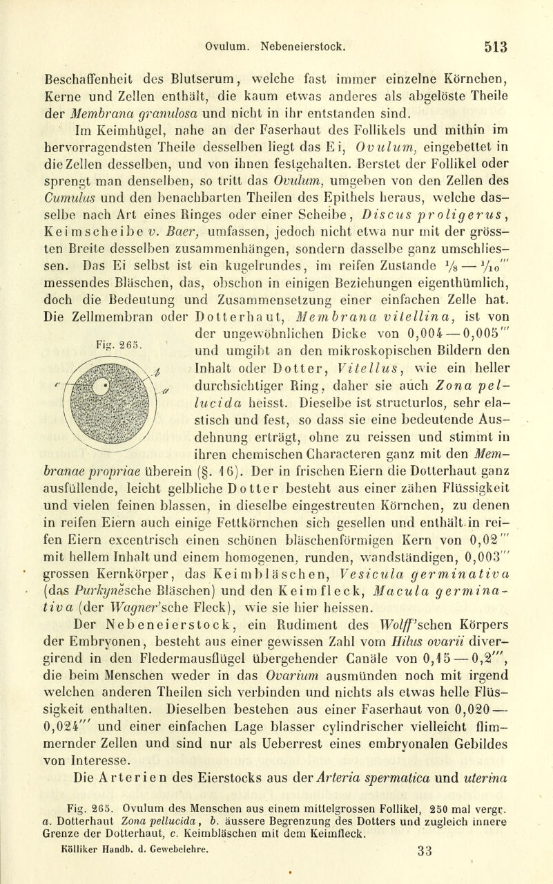 Beschaffenheit des Blutserum, welche fast immer einzelne Körnchen, Kerne und Zellen enthält, die kaum etwas anderes als abgelöste Theile der Membrana granulosa und nicht in ihr entstanden sind. Im Keimhügel, nahe an der Faserhaut des Follikels und mithin im hervorragendsten Theile desselben liegt das Ei, Ovulum.^ eingebettet in die Zellen desselben, und von ihnen festgehalten. Berstet der Follikel oder sprengt man denselben, so tritt das Ovulum, umgeben von den Zellen des Cumulus und den benachbarten Theilen des Epithels heraus, welche das- selbe nach Art eines Ringes oder einer Scheibe, Discus proligerus, Keim Scheibe v. Baer, umfassen, jedoch nicht etwa nur mit der gröss- ten Breite desselben zusammenhängen, sondern dasselbe ganz umschlies- sen. Das Ei selbst ist ein kugelrundes, im reifen Zustande Ys — Vio' messendes Bläschen, das, obschon in einigen Beziehungen eigenthümlich, doch die Bedeutung und Zusammensetzung einer einfachen Zelle hat. Die Zellmembran oder Dotterhaut, Memhraiia vitellina, ist von der ungewöhnlichen Dicke von 0,004 — 0,005' und umgibt an den mikroskopischen Bildern den Inhalt oder Dotter, Vitellus, wie ein heller durchsichtiger Bing, daher sie auch Zona pel- lucida heisst. Dieselbe ist structurlos, sehr ela- stisch und fest, so dass sie eine bedeutende Aus- dehnung erträgt, ohne zu reissen und stimmt in ihren chemischen Characteren ganz mit den Mem- branae propriae überein (§. 16). Der in frischen Eiern die Dotterhaut ganz ausfüllende, leicht gelbliche D o tter besteht aus einer zähen Flüssigkeit und vielen feinen blassen, in dieselbe eingestreuten Körnchen, zu denen in reifen Eiern auch einige Fetlkörnchen sich gesellen und enthält-in rei- fen Eiern excentrisch einen schönen bläschenförmigen Kern von 0,02' mit hellem Inhalt und einem homogenen, runden, w^andständigen, 0,003 grossen Kernkörper, das Keimbläschen, Vesicula germinativa (das Purkynesche Bläschen) und den Keim fleck, Macula germina- tiva (der Wagnerische Fleck), wie sie hier heissen. Der Nebeneierstock, ein Rudiment des Wolff^schen Körpers der Embryonen, besteht aus einer gewissen Zahl vom Hilus ovarii diver- girend in den Fledermausflügel übergehender Canäle von 0,15 — 0,2', die beim Menschen weder in das Ovarium ausmünden noch mit irgend welchen anderen Theilen sich verbinden und nichts als etwas helle Flüs- sigkeit enthalten. Dieselben bestehen aus einer Faserhaut von 0,020 — 0,024' und einer einfachen Lage blasser cylindrischer vielleicht flim- mernder Zellen und sind nur als Ueberrest eines embryonalen Gebildes von Interesse. Die Arterien des Eierstocks aus der^r^ena spermatica und uterina Fig. 265. Ovulum des Menschen aus einem mittelgrossen Follikel, 250 mal vergr. a. Dotterhaut Zona pellucida, b. äussere Begrenzung des Dotters und zugleich innere Grenze der Dotterhaut, c. Keimbläschen mit dem Keimfleck. Kölliker Handb. d. Gewebelehre. 33 Fig. 265.