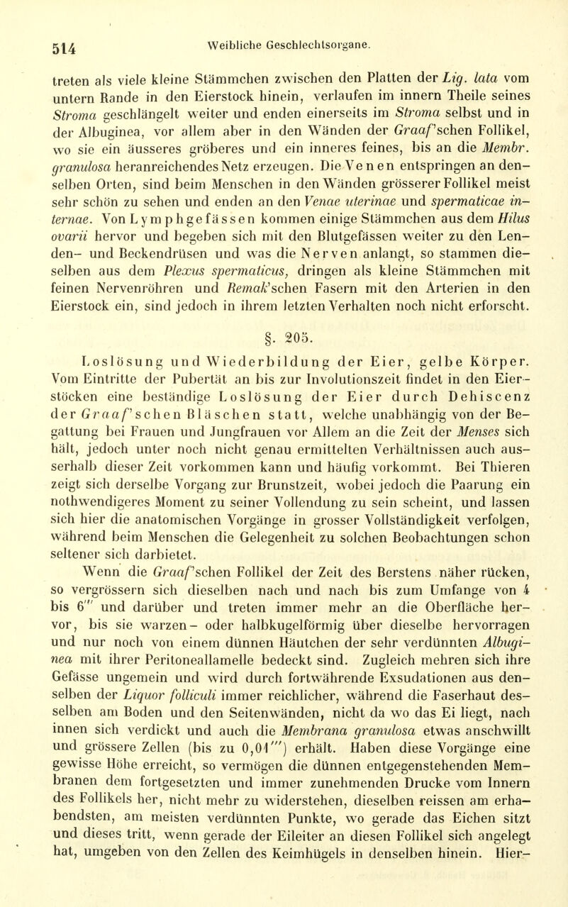 treten als viele kleine Stämmchen zwischen den Platten der Lig. lata vom untern Rande in den Eierstock hinein, verlaufen im innern Theile seines Stroma geschlängelt weiter und enden einerseits im Stroma selbst und in der Albuginea, vor allem aber in den Wänden der Graapschen Follikel, wo sie ein äusseres gröberes und ein inneres feines, bis an die Membr. granulosa heranreichendes Netz erzeugen. Die Venen entspringen an den- selben Orten, sind beim Menschen in den Wänden grösserer Follikel meist sehr schön zu sehen und enden an den Venae uterinae und spermaticae in- ternae. Von Lymphgefässen kommen einige Stämmchen aus dem Hüus ovarii hervor und begeben sich mit den Blutgefässen weiter zu den Len- den- und Beckendrüsen und was die Nerven anlangt, so stammen die- selben aus dem Plexus spermaticus, dringen als kleine Stämmchen mit feinen Nervenröhren und Remak^sohen Fasern mit den Arterien in den Eierstock ein, sind jedoch in ihrem letzten Verhalten noch nicht erforscht. §. 205. Loslösung und Wiederbildung der Eier, gelbe Körper. Vom Eintritte der Pubertät an bis zur Involutionszeit findet in den Eier- stöcken eine beständige Loslösung der Eier durch Dehiscenz der Graa/^'schen Bläschen statt, welche unabhängig von der Be- gattung bei Frauen und Jungfrauen vor Allem an die Zeit der Menses sich hält, jedoch unter noch nicht genau ermittelten Verhältnissen auch aus- serhalb dieser Zeit vorkommen kann und häufig vorkommt. Bei Thieren zeigt sich derselbe Vorgang zur Brunstzeit, wobei jedoch die Paarung ein nothwendigeres Moment zu seiner Vollendung zu sein scheint, und lassen sich hier die anatomischen Vorgänge in grosser Vollständigkeit verfolgen, während beim Menschen die Gelegenheit zu solchen Beobachtungen schon seltener sich darbietet. Wenn die Graapschen Follikel der Zeit des Berstens näher rücken, so vergrössern sich dieselben nach und nach bis zum Umfange von 4 bis 6  und darüber und treten immer mehr an die Oberfläche her- vor, bis sie warzen- oder halbkugelförmig über dieselbe hervorragen und nur noch von einem dünnen Häutchen der sehr verdünnten Albugi- nea mit ihrer Peritoneallamelle bedeckt sind. Zugleich mehren sich ihre Gefässe ungemein und wird durch fortwährende Exsudationen aus den- selben der Liquor folliculi immer reichlicher, während die Faserhaut des- selben am Boden und den Seitenwänden, nicht da wo das Ei liegt, nach innen sich verdickt und auch die Membrana granulosa etwas anschwillt und grössere Zellen (bis zu 0,01') erhält. Haben diese Vorgänge eine gewisse Höhe erreicht, so vermögen die dünnen entgegenstehenden Mem- branen dem fortgesetzten und immer zunehmenden Drucke vom Innern des Follikels her, nicht mehr zu widerstehen, dieselben reissen am erha- bendsten, am meisten verdünnten Punkte, wo gerade das Eichen sitzt und dieses tritt, wenn gerade der Eileiter an diesen Follikel sich angelegt hat, umgeben von den Zellen des Keimhügels in denselben hinein. Hier-