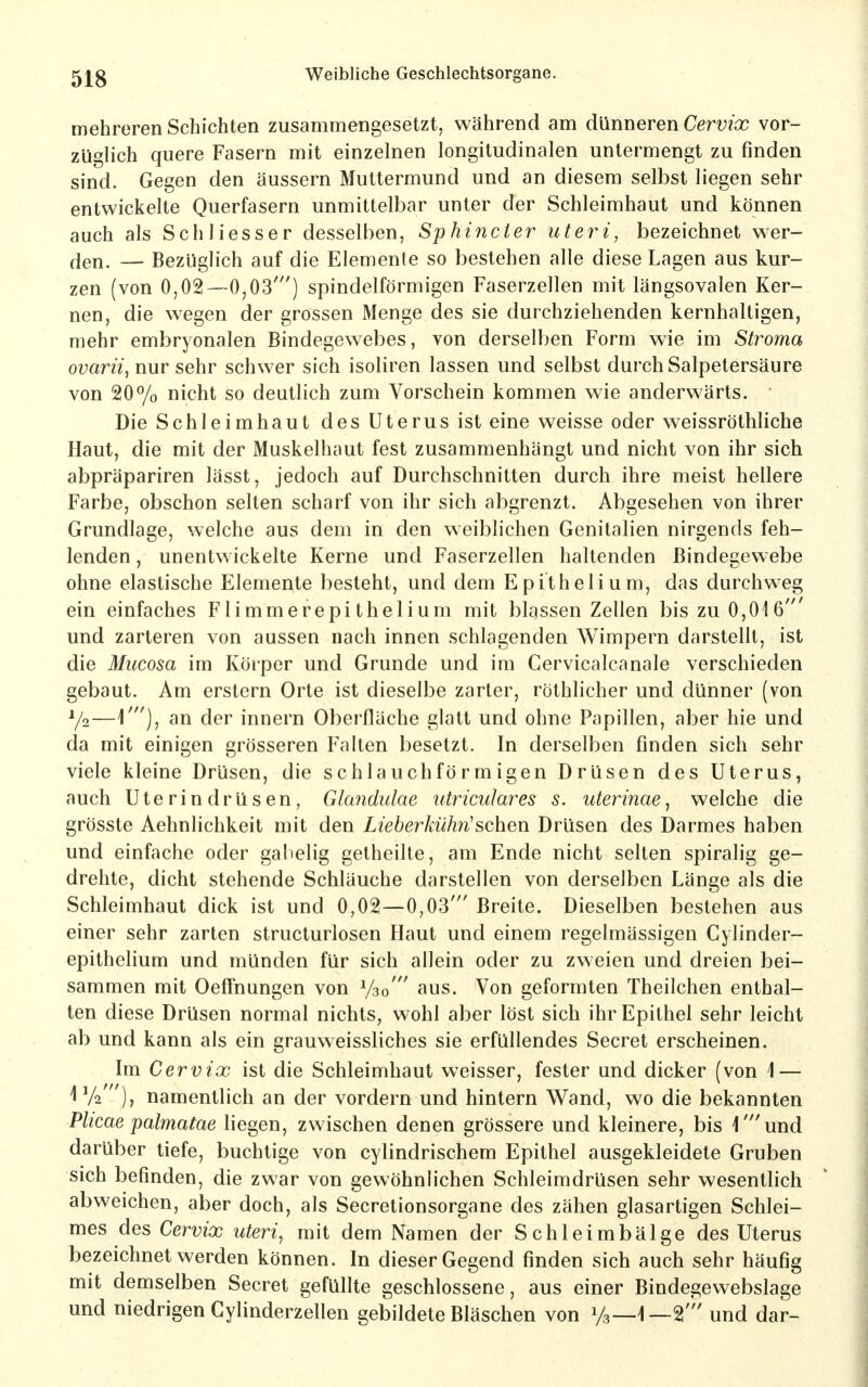mehreren Schichten zusammengesetzt, während am dünneren Cervix vor- züglich quere Fasern mit einzelnen longitudinalen untermengt zu finden sind. Gegen den äussern Muttermund und an diesem selbst liegen sehr entwickelte Querfasern unmittelbar unter der Schleimhaut und können auch als Schliesser desselben, Sphincter uteyH, bezeichnet wer- (^en. — Bezüglich auf die Elemente so bestehen alle diese Lagen aus kur- zen (von 0,02—0,03') spindelförmigen Faserzellen mit längsovalen Ker- nen, die wegen der grossen Menge des sie durchziehenden kernhaltigen, mehr embryonalen Bindegewebes, von derselben Form wie im Stroma ovarii, nur sehr schwer sich isoliren lassen und selbst durch Salpetersäure von 20% nicht so deutlich zum Vorschein kommen wie anderwärts. Die Schleimhaut des Uterus ist eine weisse oder weissröthliche Haut, die mit der Muskelhaut fest zusammenhängt und nicht von ihr sich abpräpariren lässt, jedoch auf Durchschnitten durch ihre meist hellere Farbe, obschon selten scharf von ihr sich abgrenzt. Abgesehen von ihrer Grundlage, welche aus dem in den weiblichen Genitalien nirgends feh- lenden , unentwickelte Kerne und Faserzellen haltenden Bindegewebe ohne elastische Elemente besteht, und dem Epithelium, das durchweg ein einfaches Flimmerepithelium mit blassen Zellen bis zu 0,016 und zarteren von aussen nach innen schlagenden Wimpern darstellt, ist die Mucosa im Körper und Grunde und im Cervicalcanale verschieden gebaut. Am erstem Orte ist dieselbe zarter, röthlicher und dünner (von ^2—1'), an der innern Oberfläche glatt und ohne Papillen, aber hie und da mit einigen grösseren Falten besetzt. In derselben finden sich sehr viele kleine Drüsen, die schlauchförmigen Drüsen des Uterus, auch Uterin drüsen, Glandulae utriculares s. uterinae, welche die grösste Aehnlichkeit mit den Lieberkühn'sehen Drüsen des Darmes haben und einfache oder gabelig getheilte, am Ende nicht selten spiralig ge- drehte, dicht stehende Schläuche darstellen von derselben Länge als die Schleimhaut dick ist und 0,02—0,03' Breite. Dieselben bestehen aus einer sehr zarten structurlosen Haut und einem regelmässigen Cylinder- epithelium und münden für sich allein oder zu zweien und dreien bei- sammen mit Oeffnungen von Vao' aus. Von geformten Theilchen enthal- ten diese Drüsen normal nichts, wohl aber löst sich ihr Epithel sehr leicht ab und kann als ein grauweissliches sie erfüllendes Secret erscheinen. Im Cervix ist die Schleimhaut weisser, fester und dicker (von i — ), namentlich an der vordem und hintern Wand, wo die bekannten Phcae palmatae liegen, zwischen denen grössere und kleinere, bis 1'und darüber tiefe, buchtige von cylindrischem Epithel ausgekleidete Gruben sich befinden, die zwar von gewöhnlichen Schleimdrüsen sehr wesentlich abweichen, aber doch, als Secretionsorgane des zähen glasartigen Schlei- mes des Cervix uteri, mit dem Namen der Schleimbälge des Uterus bezeichnet werden können. In dieser Gegend finden sich auch sehr häufig mit demselben Secret gefüllte geschlossene, aus einer Bindegevvebslage und niedrigen Cylinderzeflen gebildete Bläschen von Ya—I—2'' und dar-