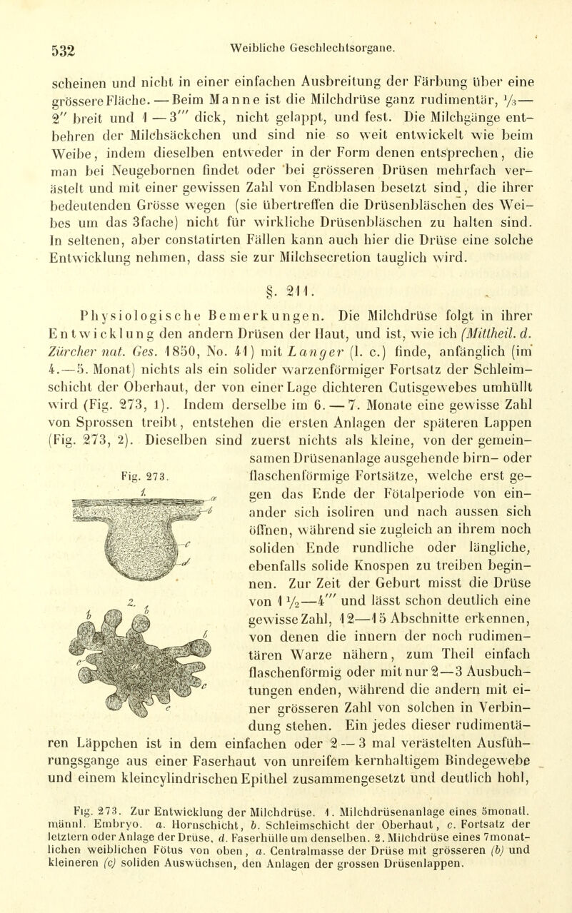 scheinen und nicht in einer einfachen Ausbreitung der Färbung iiber eine grössere Fläche. — Beim Manne ist die Milchdrüse ganz rudimentär, 1/3— 2 breit und 1 — 3' dick, nicht gelappt, und fest. Die Milchgänge ent- behren der Milchsäckchen und sind nie so weit entwickelt wie beim Weibe, indem dieselben entweder in der Form denen entsprechen, die man bei Neugebornen findet oder bei grösseren Drüsen mehrfach ver- ästelt und mit einer gewissen Zahl von Endblasen besetzt sind, die ihrer bedeutenden Grösse wegen (sie übertreffen die Drüsenbläschen des Wei- bes um das Sfache) nicht für wirkliche Drüsenbläschen zu halten sind. In seltenen, aber constatirten Fällen kann auch hier die Drüse eine solche Entwicklung nehmen, dass sie zur Milchsecretion tauglich wird. Fig. 273. Physiologische Bemerkungen. Die Milchdrüse folgt in ihrer Entwicklung den andern Drüsen der Haut, und ist, wie ich (Mittheil. d. Zürcher mit. Ges. 1850, No. 41) mii Latiger (1. c.) finde, anfänglich (im' 4. — 5. Monat) nichts als ein solider warzenförmiger Fortsatz der Schleim- schicht der Oberhaut, der von einer Lage dichteren Cutisgewebes umhüllt wird (Fig. 273, 1). Indem derselbe im 6. — 7. Monate eine gewisse Zahl von Sprossen treibt, entstehen die ersten Anlagen der späteren Lappen (Fig. 273, 2). Dieselben sind zuerst nichts als kleine, von der gemein- samen Drüsenanlage ausgehende birn- oder flaschenförmige Fortsätze, welche erst ge- gen das Ende der Fötalperiode von ein- ander sich isohren und nach aussen sich öß'nen, während sie zugleich an ihrem noch soliden Ende rundliche oder längliche, ebenfalls solide Knospen zu treiben begin- nen. Zur Zeit der Geburt misst die Drüse von 1 y2—4' und lässt schon deutlich eine gewisse Zahl, 12—15 Abschnitte erkennen, von denen die inuern der noch rudimen- tären Warze nähern, zum Theil einfach flaschenförmig oder mit nur 2—3 Ausbuch- tungen enden, während die andern mit ei- ner grösseren Zahl von solchen in Verbin- dung stehen. Ein jedes dieser rudimentä- ren Läppchen ist in dem einfachen oder 2 — 3 mal verästelten Ausfüh- rungsgange aus einer Faserhaut von unreifem kernhaltigem Bindegewebe und einem kleincylindrischenEpithel zusammengesetzt und deutlich hohl. Flg. 273. Zur Entwicklung der Milchdrüse. 1. Milchdrüsenanlage eines 5monatl. männl. Embryo, a. Hornschicht, b. Schleimschicht der Oberhaut, c. Fortsatz der letztem oder Anlage der Drüse, d. Faserhülle um denselben. 2. Milchdrüse eines 7monat- lichen weiblichen Fötus von oben, a. Centralmasse der Drüse mit grösseren (b) und kleineren (c) soliden Auswüchsen, den Anlagen der grossen Drüsenlappen.