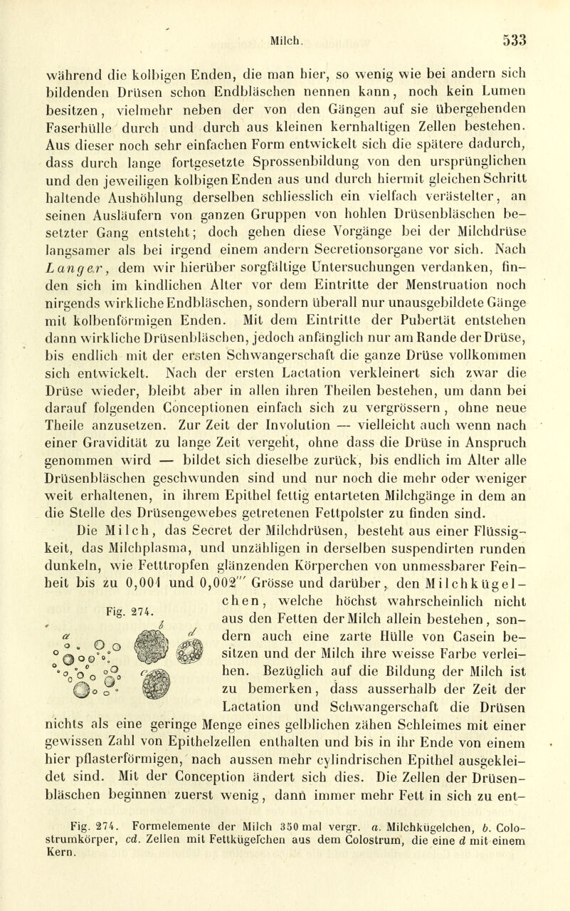 während die koibigen Enden, die man hier, so wenig wie bei andern sich bildenden Drüsen schon Endbläschen nennen kann, noch kein Lumen besitzen, vielmehr neben der von den Gängen auf sie übergehenden Faserhülle durch und durch aus kleinen kernhaltigen Zellen bestehen. Aus dieser noch sehr einfachen Form entwickelt sich die spätere dadurch, dass durch lange fortgesetzte Sprossenbildung von den ursprünglichen und den jeweiligen koibigen Enden aus und durch hiermit gleichen Schritt haltende Aushöhlung derselben schliesslich ein vielfach verästelter, an seinen Ausläufern von ganzen Gruppen von hohlen Drüsenbläschen be- setzter Gang entsteht; doch gehen diese Vorgänge bei der Milchdrüse langsamer als bei irgend einem andern Secretionsorgane vor sich. Nach Langer, dem wir hierüber sorgfältige Untersuchungen verdanken, fin- den sich im kindlichen Alter vor dem Eintritte der Menstruation noch nirgends wirkliche Endbläschen, sondern überall nur unausgebildete Gänge mit kolbenförmigen Enden. Mit dem Eintritte der Pubertät entstehen dann wirkliche Drüsenbläschen, jedoch anfänglich nur am Rande der Drüse, bis endlich mit der ersten Schwangerschaft die ganze Drüse vollkommen sich entwickelt. Nach der ersten Lactation verkleinert sich zwar die Drüse wieder, bleibt aber in allen ihren Theilen bestehen, um dann bei darauf folgenden Conceptionen einfach sich zu vergrössern , ohne neue Theile anzusetzen. Zur Zeit der Involution — vielleicht auch wenn nach einer Gravidität zu lange Zeit vergeht, ohne dass die Drüse in Anspruch genommen wird — bildet sich dieselbe zurück, bis endlich im Alter alle Drüsenbläschen geschwunden sind und nur noch die mehr oder weniger weit erhaltenen, in ihrem Epithel fettig entarteten Milchgänge in dem an die Stelle des Drüsengewebes getretenen Fettpolster zu finden sind. Die Milch, das Secret der Milchdrüsen, besteht aus einer Flüssig- keit, das Milchplasma, und unzähligen in derselben suspendirten runden dunkeln, wie Fetttropfen glänzenden Körperchen von unmessbarer Fein- heit bis zu 0,001 und 0,002 Grösse und darüber, den Milchkügel- chen, welche höchst wahrscheinHch nicht aus den Fetten der Milch allein bestehen, son- dern auch eine zarte Hülle von Casein be- sitzen und der Milch ihre weisse Farbe verlei- hen. Bezüglich auf die Bildung der Milch ist zu bemerken, dass ausserhalb der Zeit der Lactation und Schwangerschaft die Drüsen nichts als eine geringe Menge eines gelblichen zähen Schleimes mit einer gewissen Zahl von Epithelzellen enthalten und bis in ihr Ende von einem hier pflasterförmigen, nach aussen mehr cylindrischen Epithel ausgeklei- det sind. Mit der Conception ändert sich dies. Die Zellen der Drüsen- bläschen beginnen zuerst wenig, dann immer mehr Fett in sich zu ent- Fig. 274. Formelemente der Milch 350 mal vergr. a. Milchkiigelchen, 6. Colo- strumkörper, cd. Zellen mit FettkUgeFchen aus dem Colostrum, die eine d mit einem Kern. Fig. 274.