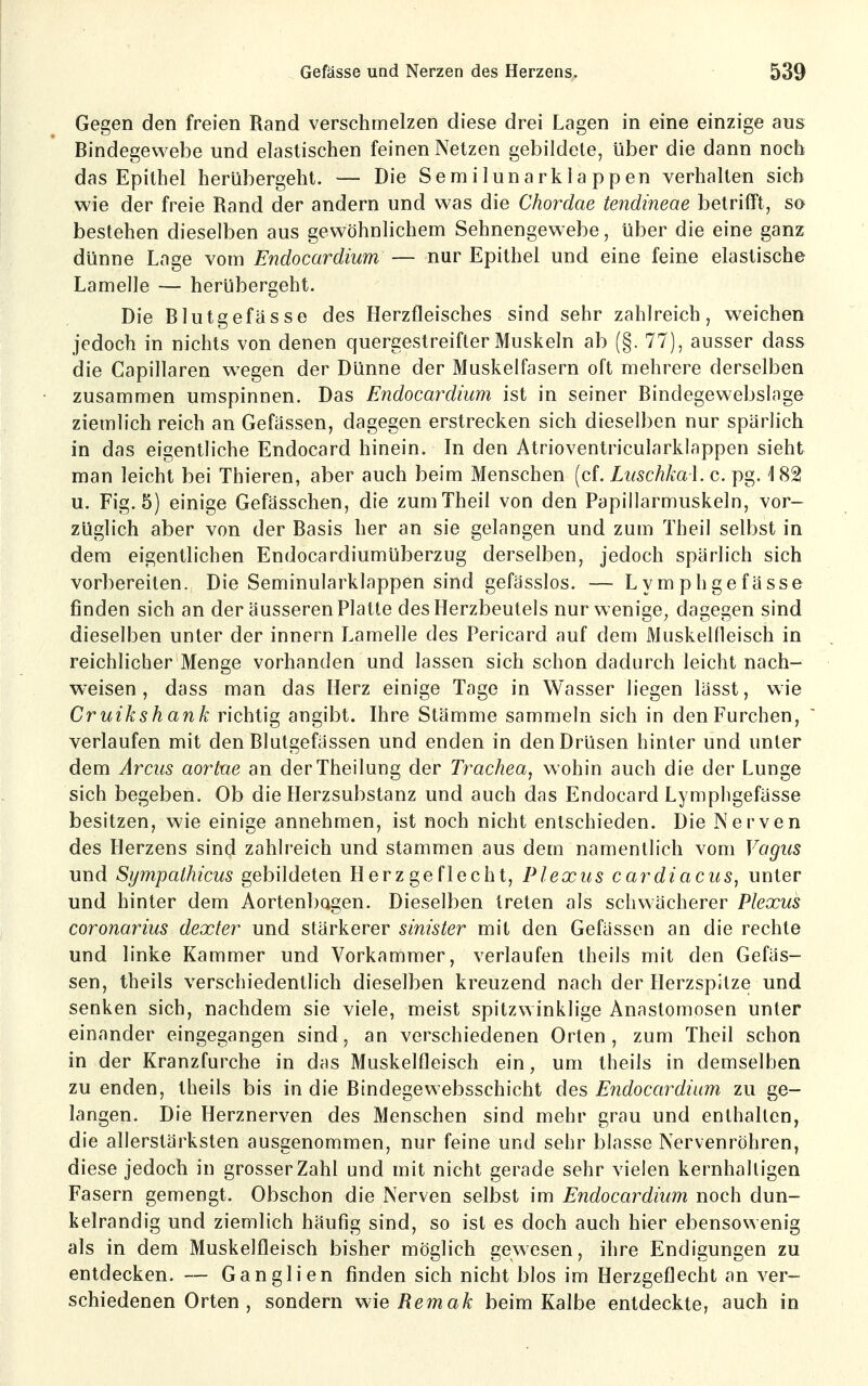 Gegen den freien Rand verschmelzen diese drei Lagen in eine einzige aus Bindegewebe und elastischen feinen Netzen gebildete, über die dann noch das Epithel heriibergeht. — Die Semilunarklappen verhalten sich wie der freie Rand der andern und was die Chordae tendineae betrifft, so bestehen dieselben aus gewöhnlichem Sehnengewebe, über die eine ganz dünne Lage vom Endocardium — nur Epithel und eine feine elastische Lamelle — herübergeht. Die Blutgefässe des Herzfleisches sind sehr zahlreich, weichen jedoch in nichts von denen quergestreifter Muskeln ab (§. 77), ausser dass die Capillaren wegen der Dünne der Muskelfasern oft mehrere derselben zusammen umspinnen. Das Endocardium ist in seiner Bindegewebslage ziemlich reich an Gefassen, dagegen erstrecken sich dieselben nur spärlich in das eigentliche Endocard hinein. In den Atrioventricularklappen sieht man leicht bei Thieren, aber auch beim Menschen (cf. Luschka], c. pg. 182 u. Fig. 5) einige Gefässchen, die zumTheil von den Papillarmuskeln, vor- züglich aber von der Basis her an sie gelangen und zum Theil selbst in dem eigentlichen Endocardiumüberzug derselben, jedoch spärlich sich vorbereiten. Die Seminularklappen sind gefässlos. — Lymphgefässe finden sich an der äusseren Platte des Herzbeutels nur wenige, dagegen sind dieselben unter der Innern Lamelle des Pericard auf dem Miiskellleisch in reichlicher Menge vorhanden und lassen sich schon dadurch leicht nach- weisen, dass man das Herz einige Tage in Wasser liegen lässt, wie Cruikshank richtig angibt. Ihre Stämme sammeln sich in den Furchen, verlaufen mit den Blutgefässen und enden in den Drüsen hinter und unter dem Arcus aortue an derTheilung der Trachea, wohin auch die der Lunge sich begeben. Ob die Herzsubstanz und auch das Endocard Lympligefässe besitzen, wie einige annehmen, ist noch nicht entschieden. Die Nerven des Herzens sind zahlreich und stammen aus dem namentlich vom Vagus und Sympathicus gebildeten Herzgeflecht, Plexus cardiacus, unter und hinter dem Aortenbogen. Dieselben treten als schwächerer Plexus coronarius dexter und stärkerer sinister mit den Gefassen an die rechte und linke Kammer und Vorkammer, verlaufen theils mit den Gefas- sen, theils verschiedentlich dieselben kreuzend nach der Herzspitze und senken sich, nachdem sie viele, meist spitzwiniilige Anastomosen unter einander eingegangen sind, an verschiedenen Orten, zum Theil schon in der Kranzfurche in das Muskelfleisch ein, um theils in demselben zu enden, theils bis in die Bindegewebsschicht des Endocardium zu ge- langen. Die Herznerven des Menschen sind mehr grau und enthalten, die allerstärksten ausgenommen, nur feine und sehr blasse Nervenröhren, diese jedoch in grosser Zahl und mit nicht gerade sehr vielen kernhaltigen Fasern gemengt. Obschon die Nerven selbst im Endocardium noch dun- kelrandig und ziemlich häufig sind, so ist es doch auch hier ebensowenig als in dem Muskelfleisch bisher möglich gewesen, ihre Endigungen zu entdecken. — Ganglien finden sich nicht blos im Herzgeflecht an ver- schiedenen Orten , sondern wie Remak beim Kalbe entdeckte, auch in