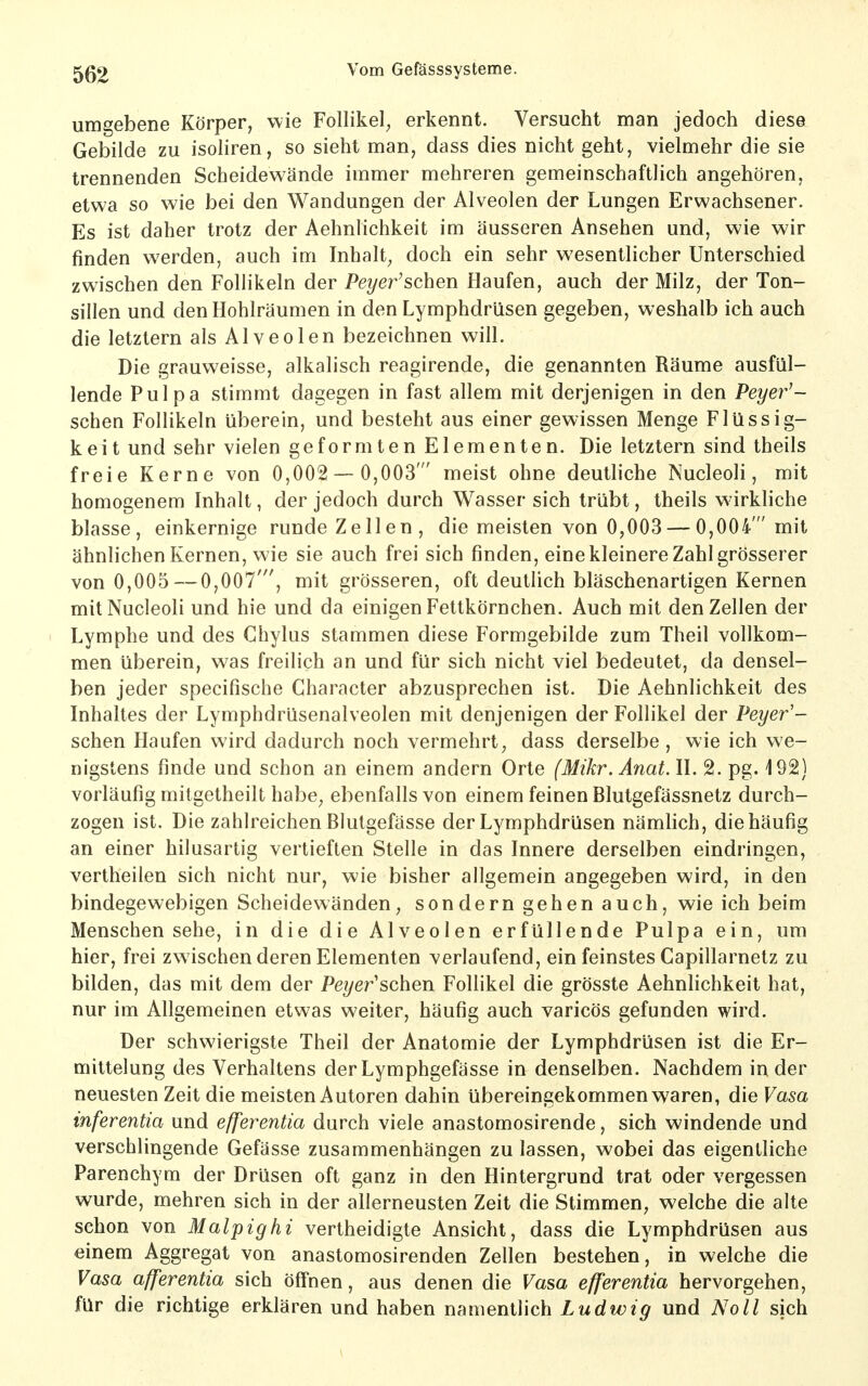 umgebene Körper, wie Follikel^ erkennt. Versucht man jedoch diese Gebilde zu isoliren, so sieht man, dass dies nicht geht, vielmehr die sie trennenden Scheidewände immer mehreren gemeinschaftlich angehören, etwa so wie bei den Wandungen der Alveolen der Lungen Erwachsener. Es ist daher trotz der Aehnlichkeit im äusseren Ansehen und, wie wir finden werden, auch im Inhalt^ doch ein sehr wesentlicher Unterschied zwischen den Follikeln der Peyer'schen Haufen, auch der Milz, der Ton- sillen und den Hohlräumen in den Lymphdrüsen gegeben, weshalb ich auch die letztern als Alveolen bezeichnen will. Die grauweisse, alkalisch reagirende, die genannten Räume ausfül- lende Pulpa stimmt dagegen in fast allem mit derjenigen in den Peye?-'- schen Follikeln überein, und besteht aus einer gewissen Menge Flüssig- keit und sehr vielen geformten Elementen. Die letztern sind theils freie Kerne von 0,002 — 0,003' meist ohne deutliche Nucleoli, mit homogenem Inhalt, der jedoch durch Wasser sich trübt, theils wirkliche blasse, einkernige runde Zellen, die meisten von 0,003 — 0,004' mit ähnlichen Kernen, wie sie auch frei sich finden, eine kleinere Zahl grösserer von 0,005 — 0,007', mit grösseren, oft deutlich bläschenartigen Kernen mit Nucleoli und hie und da einigen Fettkörnchen. Auch mit den Zellen der Lymphe und des Chylus stammen diese Formgebilde zum Theil vollkom- men überein, was freilich an und für sich nicht viel bedeutet, da densel- ben jeder specifische Character abzusprechen ist. Die Aehnlichkeit des Inhaltes der Lymphdrüsenalveolen mit denjenigen der Follikel der Peyer'- schen Haufen wird dadurch noch vermehrt, dass derselbe , wie ich we- nigstens finde und schon an einem andern Orte (Mikr.Anat. II. 2. pg. 192) vorläufig mitgetheilt habe, ebenfalls von einem feinen Blutgefässnetz durch- zogen ist. Die zahlreichen Blutgefässe der Lymphdrüsen nämhch, die häufig an einer hilusartig vertieften Stelle in das Innere derselben eindringen, vertheilen sich nicht nur, wie bisher allgemein angegeben wird, in den bindegewebigen Scheidewänden, sondern gehen auch, wie ich beim Menschen sehe, in die die Alveolen erfüllende Pulpa ein, um hier, frei zwischen deren Elementen verlaufend, ein feinstes Capillarnetz zu bilden, das mit dem der Pe?/er'schen Follikel die grösste Aehnlichkeit hat, nur im Allgemeinen etwas weiter, häufig auch varicös gefunden wird. Der schwierigste Theil der Anatomie der Lymphdrüsen ist die Er- mittelung des Verhaltens der Lymphgefässe in denselben. Nachdem in der neuesten Zeit die meisten Autoren dahin übereingekommen waren, die Vasa inferentia und efferentia durch viele anastomosirende, sich windende und verschlingende Gefässe zusammenhängen zu lassen, wobei das eigentliche Parenchym der Drüsen oft ganz in den Hintergrund trat oder vergessen wurde, mehren sich in der allerneusten Zeit die Stimmen, welche die alte schon von Malpighi vertheidigte Ansicht, dass die Lymphdrüsen aus einem Aggregat von anastomosirenden Zellen bestehen, in welche die Vasa afferentia sich öffnen, aus denen die Vasa efferentia hervorgehen, für die richtige erklären und haben namentlich Ludwig und Noll sich