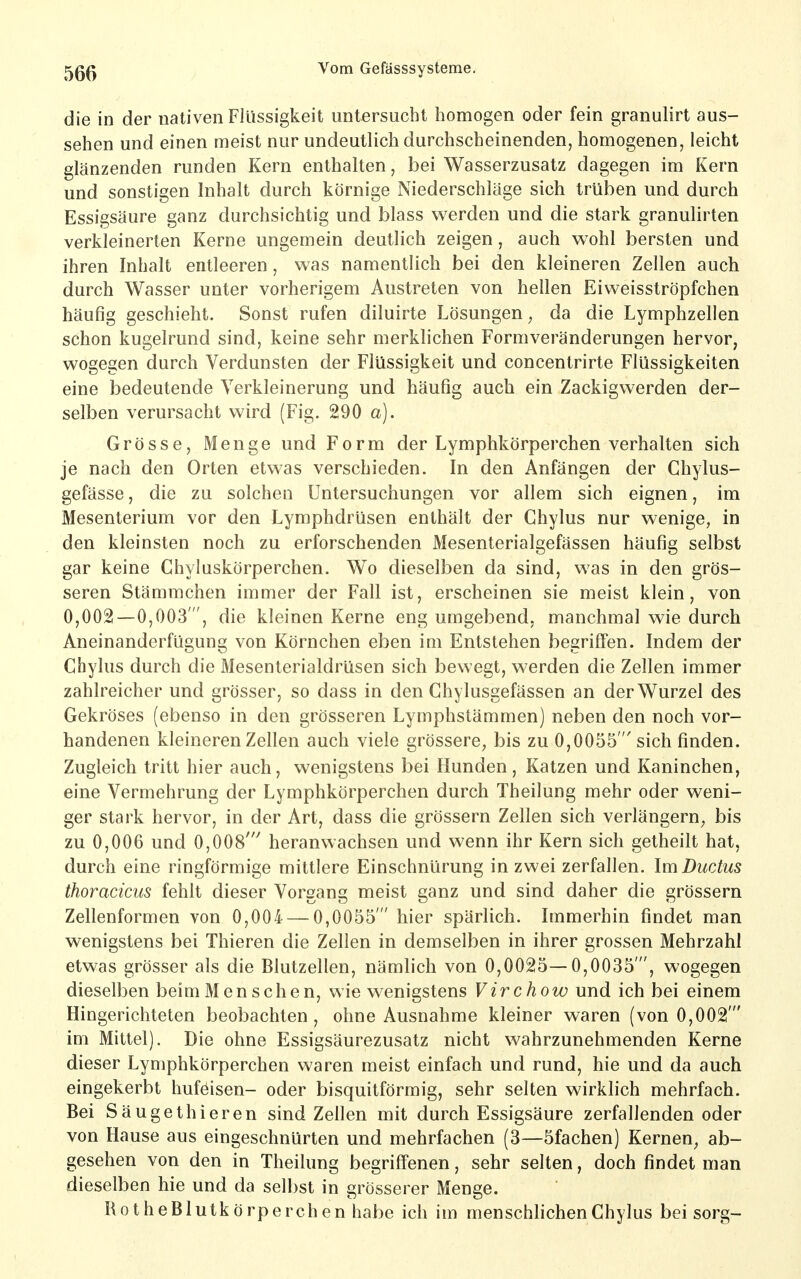 die in der nativen Flüssigkeit untersucht homogen oder fein granulirt aus- sehen und einen meist nur undeutlich durchscheinenden, homogenen, leicht glänzenden runden Kern enthalten, bei Wasserzusatz dagegen im Kern und sonstigen Inhalt durch körnige Niederschläge sich trüben und durch Essigsäure ganz durchsichtig und blass werden und die stark granulirten verkleinerten Kerne ungemein deutlich zeigen, auch wohl bersten und ihren Inhalt entleeren, was namentlich bei den kleineren Zellen auch durch Wasser unter vorherigem Austreten von hellen Eiweisströpfchen häufig geschieht. Sonst rufen diluirte Lösungen, da die Lymphzellen schon kugelrund sind, keine sehr merklichen Formveränderungen hervor, wogegen durch Verdunsten der Flüssigkeit und concentrirte Flüssigkeiten eine bedeutende Verkleinerung und häufig auch ein Zackigwerden der- selben verursacht wird (Fig. 290 a). Grösse, Menge und Form der Lymphkörperchen verhalten sich je nach den Orten etwas verschieden. In den Anfängen der Chylus- gefässe, die zu solchen Untersuchungen vor allem sich eignen, im Mesenterium vor den Lymphdrüsen enthält der Chylus nur wenige, in den kleinsten noch zu erforschenden Mesenterialgefässen häufig selbst gar keine Chyluskörperchen. Wo dieselben da sind, was in den grös- seren Stämmchen immer der Fall ist, erscheinen sie meist klein, von 0,002—0,003', die kleinen Kerne eng umgebend, manchmal wie durch Aneinanderfügung von Körnchen eben im Entstehen begriffen. Indem der Chylus durch die Mesenterialdrüsen sich bewegt, werden die Zellen immer zahlreicher und grösser, so dass in den Ghylusgefässen an der Wurzel des Gekröses (ebenso in den grösseren Lymphstämmen) neben den noch vor- handenen kleineren Zellen auch viele grössere, bis zu 0,0055  sich finden. Zugleich tritt hier auch, wenigstens bei Hunden, Katzen und Kaninchen, eine Vermehrung der Lymphkörperchen durch Theilung mehr oder weni- ger stark hervor, in der Art, dass die grössern Zellen sich verlängern, bis zu 0,006 und 0,008' heranwachsen und wenn ihr Kern sich getheilt hat, durch eine ringförmige mittlere Einschnürung in zwei zerfallen. \m Ductus thoracicus fehlt dieser Vorgang meist ganz und sind daher die grössern Zellenformen von 0,004 — 0,0055' hier spärlich. Immerhin findet man wenigstens bei Thieren die Zellen in demselben in ihrer grossen Mehrzahl etwas grösser als die Blutzellen, nämlich von 0,0025—0,0035', wogegen dieselben beim Men sehen, wie wenigstens Virchow und ich bei einem Hingerichteten beobachten, ohne Ausnahme kleiner waren (von 0,002' im Mittel). Die ohne Essigsäurezusatz nicht wahrzunehmenden Kerne dieser Lymphkörperchen waren meist einfach und rund, hie und da auch eingekerbt hufeisen- oder bisquitförmig, sehr selten wirklich mehrfach. Bei Säugethieren sind Zellen mit durch Essigsäure zerfallenden oder von Hause aus eingeschnürten und mehrfachen (3—5fachen) Kernen, ab- gesehen von den in Theilung begriffenen, sehr selten, doch findet man dieselben hie und da selbst in grösserer Menge. RotheBlutkörperchen habe ich im menschlichen Chylus bei sorg-