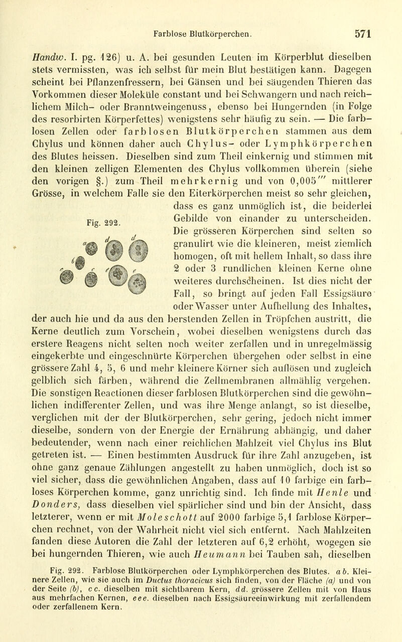 Handw. I. pg. 126) u. A. bei gesunden Leuten im Körperblut dieselben stets vermissten, was ich selbst für mein Blut bestätigen kann. Dagegen scheint bei Pflanzenfressern, bei Gänsen und bei säugenden Thieren das Vorkommen dieser Moleküle constant und bei Schwangern und nach reich- lichem Milch- oder Branntweingenuss, ebenso bei Hungernden (in Folge des resorbirten Körperfettes) wenigstens sehr häufig zu sein. — Die farb- losen Zellen oder farblosen Blutkörperchen stammen aus dem Chylus und können daher auch Chylus- oder Lymphkörperchen des Blutes heissen. Dieselben sind zum Theil einkernig und stimmen mit den kleinen zelligen Elementen des Chylus vollkommen überein (siehe den vorigen §.) zum Theil mehrkernig und von 0,005' mittlerer Grösse, in welchem Falle sie den Eiterkörperchen meist so sehr gleichen, dass es ganz unmöglich ist, die beiderlei Gebilde von einander zu unterscheiden. ^ Die grösseren Körperchen sind selten so granulirt wie die kleineren, meist ziemlich homogen, oft mit hellem Inhalt, so dass ihre ^ ^^4^^ ' ^ ^^^^ ^ rundlichen kleinen Kerne ohne ®^ ® CL-^^ j^ weiteres durchscheinen. Ist dies nicht der Fall, so bringt auf jeden Fall Essigsäure oder Wasser unter Aufhellung des Inhaltes, der auch hie und da aus den berstenden Zellen in Tröpfchen austi'itt, die Kerne deutlich zum Vorschein, wobei dieselben wenigstens durch das erstere Reagens nicht selten noch weiter zerfallen und in unregelmässig eingekerbte und eingeschnürte Körperchen übergehen oder selbst in eine grössere Zahl 4, 5, 6 und mehr kleinere Körner sich auflösen und zugleich gelblich sich färben, während die Zellmembranen allmählig vergehen. Die sonstigen Reactionen dieser farblosen Blutkörperchen sind die gewöhn- lichen indiff'erenter Zellen, und was ihre Menge anlangt, so ist dieselbe, verglichen mit der der Blutkörperchen, sehr gering, jedoch nicht immer dieselbe, sondern von der Energie der Ernährung abhängige und daher bedeutender, wenn nach einer reichlichen Mahlzeit viel Chylus ins Blut getreten ist. ■— Einen bestimmten Ausdruck für ihre Zahl anzugeben, ist ohne ganz genaue Zählungen angestellt zu haben unmöglich, doch ist so viel sicher, dass die gewöhnlichen Angaben, dass auf 10 farbige ein farb- loses Körperchen komme, ganz unrichtig sind. Ich finde mit Henle und Donders, dass dieselben viel spärlicher sind und bin der Ansicht, dass letzterer, wenn er mit Moleschott auf 2000 farbige 5,1 farblose Körper- chen rechnet, von der Wahrheit nicht viel sich entfernt. Nach Mahlzeilen fanden diese Autoren die Zahl der letzteren auf 6,2 erhöht^ wogegen sie bei hungernden Thieren, wie auch Heumann bei Tauben sah, dieselben Fig. 292. Farblose Blutkörperchen oder Lymphkörperchen des Blutes, ab. Klei- nere Zellen, wie sie auch im Ductus thoracicus sich finden, von der Fläche (a) und von der Seite (b), cc. dieselben mit sichtbarem Kern, dd. grössere Zellen mit von Haus aus mehrfachen Kernen, eee. dieselben nach Essigsäureeinwirkung mit zerfallendem oder zerfallenem Kern.