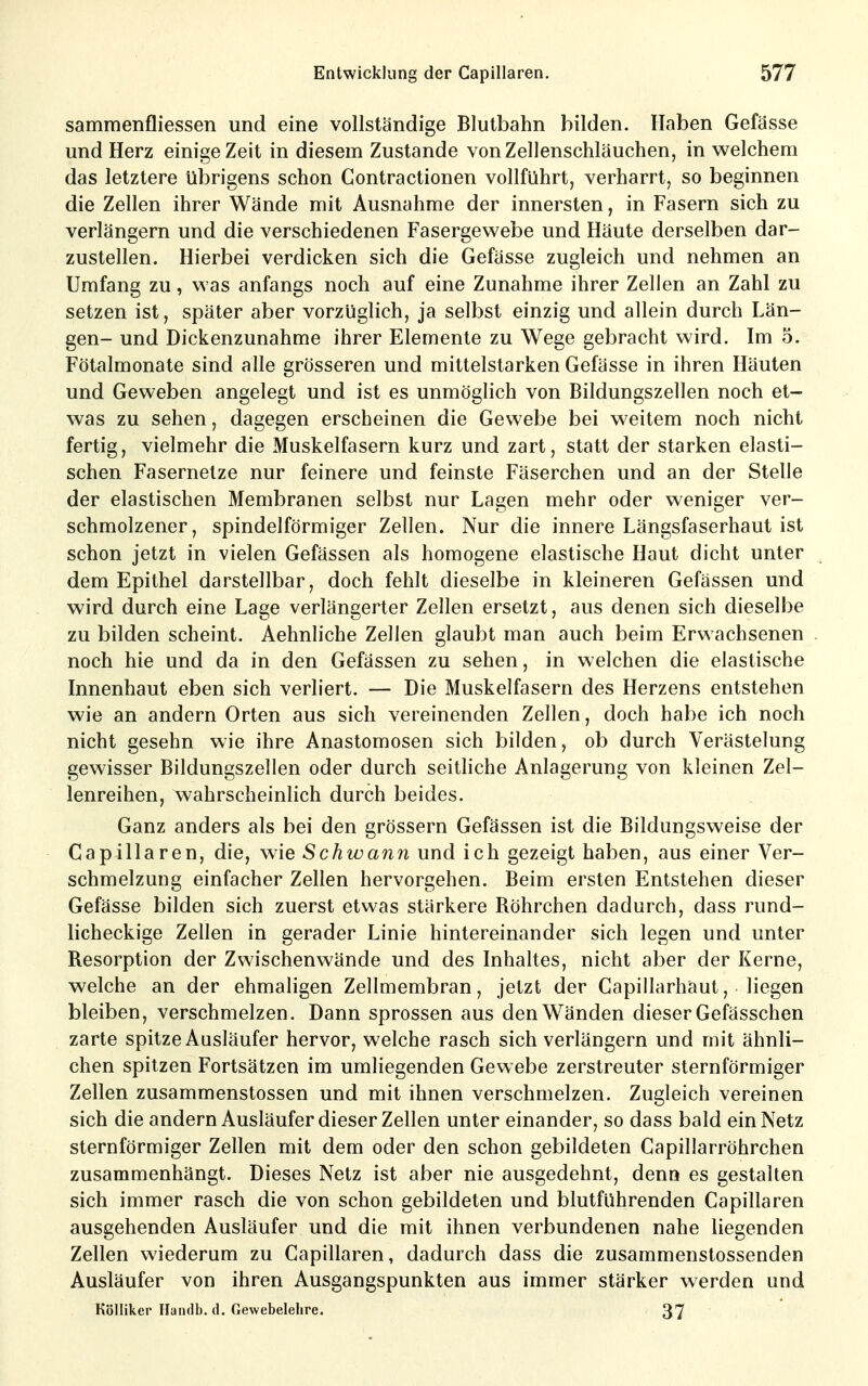 samraenfliessen und eine vollständige Blutbahn bilden. Haben Gefässe und Herz einige Zeit in diesem Zustande von Zellenschläuchen, in welchem das letztere übrigens schon Contractionen vollführt, verharrt, so beginnen die Zellen ihrer Wände mit Ausnahme der innersten, in Fasern sich zu verlängern und die verschiedenen Fasergewebe und Häute derselben dar- zustellen. Hierbei verdicken sich die Gefässe zugleich und nehmen an Umfang zu, was anfangs noch auf eine Zunahme ihrer Zellen an Zahl zu setzen ist, später aber vorzüglich, ja selbst einzig und allein durch Län- gen- und Dickenzunahme ihrer Elemente zu Wege gebracht wird. Im 5. Fötalmonate sind alle grösseren und mittelstarken Gefässe in ihren Häuten und Geweben angelegt und ist es unmöglich von Bildungszellen noch et- was zu sehen, dagegen erscheinen die Gewebe bei weitem noch nicht fertig, vielmehr die Muskelfasern kurz und zart, statt der starken elasti- schen Fasernelze nur feinere und feinste Fäserchen und an der Stelle der elastischen Membranen selbst nur Lagen mehr oder weniger ver- schmolzener, spindelförmiger Zellen. Nur die innere Längsfaserhaut ist schon jetzt in vielen Gefässen als homogene elastische Haut dicht unter dem Epithel darstellbar, doch fehlt dieselbe in kleineren Gefässen und wird durch eine Lage verlängerter Zellen ersetzt, aus denen sich dieselbe zu bilden scheint. Aehnliche Zellen glaubt man auch beim Erwachsenen noch hie und da in den Gefässen zu sehen, in welchen die elastische Innenhaut eben sich verliert. — Die Muskelfasern des Herzens entstehen wie an andern Orten aus sich vereinenden Zellen, doch habe ich noch nicht gesehn wie ihre Anastomosen sich bilden, ob durch Verästelung gewisser Bildungszellen oder durch seitliche Anlagerung von kleinen Zel- lenreihen, wahrscheinlich durch beides. Ganz anders als bei den grössern Gefässen ist die Bildungsweise der Capillaren, die, wie Schwann und ich gezeigt haben, aus einer Ver- schmelzung einfacher Zellen hervorgehen. Beim ersten Entstehen dieser Gefässe bilden sich zuerst etwas stärkere Böhrchen dadurch, dass rund- licheckige Zellen in gerader Linie hintereinander sich legen und unter Besorption der Zwischenwände und des Inhaltes, nicht aber der Kerne, welche an der ehmaligen Zellmembran, jetzt der Capillarhaut, liegen bleiben, verschmelzen. Dann sprossen aus den Wänden dieser Gefässchen zarte spitze Ausläufer hervor, welche rasch sich verlängern und mit ähnli- chen spitzen Fortsätzen im umliegenden Gewebe zerstreuter sternförmiger Zellen zusammenstossen und mit ihnen verschmelzen. Zugleich vereinen sich die andern Ausläufer dieser Zellen unter einander, so dass bald ein Netz sternförmiger Zellen mit dem oder den schon gebildeten Capillarröhrchen zusammenhängt. Dieses Netz ist aber nie ausgedehnt, denn es gestalten sich immer rasch die von schon gebildeten und blutführenden Capillaren ausgehenden Ausläufer und die mit ihnen verbundenen nahe liegenden Zellen wiederum zu Capillaren, dadurch dass die zusammenstossenden Ausläufer von ihren Ausgangspunkten aus immer stärker werden und Kölliker Handb. d. Gewebelehre. 37