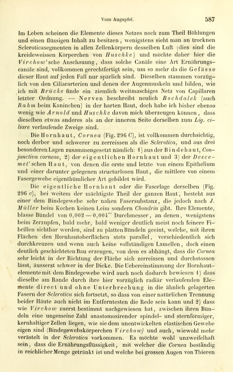 Im Leben scheinen die Elemente dieses Netzes noch zum Theil Höhlungen und einen flüssigen Inhalt zu besitzen, wenigstens sieht man an trocknen Scleroticasegmenten in allen Zellenkörpern desselben Luft (dies sind die kreideweissen Körperchen von Huschke) und möchte daher hier die Virchow'sehe Anschauung, dass solche Canäle eine Art Ernährungs- canäle sind, vollkommen gerechtfertigt sein, um so mehr da die Gefässe dieser Haut auf jeden Fall nur spärlich sind. Dieselben stammen vorzüg- lich von den Cihararterien und denen der Augenmuskeln und bilden, wie ich mit Brücke finde ein ziemlich weitmaschiges Netz von Capillaren letzter Ordnung. — Nerven beschreibt neulich Bochdalek (auch Rahm beim Kaninchen) in der harten Haut, doch habe ich bisher ebenso wenig wie Arnold und Huschke davon mich überzeugen können, dass dieselben etwas anderes als an der inneren Seite derselben zum Lig. ci- liare verlaufende Zweige sind. DieHornhaut, Cornea (Fig. 296 C), ist vollkommen durchsichtig, noch derber und schwerer zu zerreissen als die Sclerotica, und aus drei besonderen Lagen zusammengesetzt nämlich: 1) aus der Bindehaut, Con- junctiva corneaej 2) der eigentlichen Hornhaut und 3) der Desce- met'sehen Haut, von denen die erste und letzte von einem Epithelium und einer darunter gelegenen structurlosen Haut, die mittlere von einem Fasergewebe eigenthümlicher Art gebildet wird. Die eigentliche Hornhaut oder die Faserlage derselben (Fig. 296 c), bei weitem der mächtigste Theil der ganzen Haut, besteht aus einer dem Bindegewebe sehr nahen Fasersubstanz, die jedoch nach Müller beim Kochen keinen Leim sondern Chondrin gibt. Ihre Elemente, blasse Bündel von 0,002 — 0,004'Durchmesser, an denen, wenigstens beim Zerzupfen, bald mehr, bald weniger deutlich meist noch feinere Fi- brillen sichtbar werden, sind zu platten Bündeln geeint, welche, mit ihren Flächen den Hornhautoberflächen stets parallel, verschiedentlich sich durchkreuzen und wenn auch keine vollständigen Lamellen, doch einen deutlich geschichteten Bau erzeugen, von dem es abhängt, dass die Cormea sehr leicht in der Richtung der Fläche sich zerreissen und durchstossen lässt, äusserst schwer in der Dicke. Die Uebereinstimmung der Hornhaut- elemente mit dem Bindegewebe wird auch noch dadurch bewiesen 1) dass dieselbe am Rande durch ihre hier vorzüglich radiär verlaufenden Ele- mente direct und ohne Unterbrechung in die ähnlich gelagerten Fasern der Sclerotica sich fortsetzt, so dass von einer natürlichen Trennung beider Häute auch nicht im Entferntesten die Rede sein kann und 2) dass wie Virchow zuerst bestimmt nachgewiesen hat, zwischen ihren Bün- deln eine ungemeine Zahl anastomosirender spindel- und sternförmiger, kernhaltiger Zellen Hegen, wie sie dem unentwickelten elastischen Gewebe eigen sind (Bindegewebskörperchen Virchow) und auch, wiewohl mehr verästelt in der Sclerotica vorkommen. Es möchte wohl unzweifelhaft sein, dass die Ernährungsflüssigkeit, mit welcher die Cornea beständig in reichlicher Menge getränkt ist und welche bei grossen Augen vonThieren