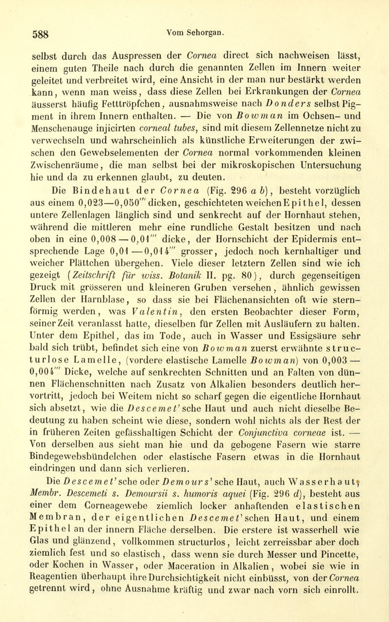 selbst durch das Auspressen der Cornea direct sich nachweisen lässt, einem guten Theile nach durch die genannten Zellen im Innern weiter geleitet und verbreitet wird, eine Ansicht in der man nur bestärkt werden kann, wenn man weiss, dass diese Zellen bei Erkrankungen der Cornea äusserst häufig Fetttröpfchen^ ausnahmsweise nach Donders selbst Pig- ment in ihrem Innern enthalten. — Die von Bowman im Ochsen- und Menschenauge injicirten corneal tubes, sind mit diesem Zellennetze nicht zu verwechseln und wahrscheinlich als künstliche Erweiterungen der zwi- schen den Gewebselementen der Cornea normal vorkommenden kleinen Zwischenräume, die man selbst bei der mikroskopischen Untersuchung hie und da zu erkennen glaubt, zu deuten. Die Bindehaut der Cornea (Fig. 296 a ö), besteht vorzüglich aus einem 0,0^3—0,050'dicken, geschichteten weichenEpithei, dessen untere Zellenlagen länglich sind und senkrecht auf der Hornhaut stehen, während die mittleren mehr eine rundliche Gestalt besitzen und nach oben in eine 0,008 — 0,01' dicke, der Hornschicht der Epidermis ent- sprechende Lage 0,01—0,014' grosser, jedoch noch kernhaltiger und weicher Plättchen übergehen. Viele dieser letztern Zellen sind wie ich gezeigt [Zeitschrift für wiss. Botanik II. pg. 80), durch gegenseitigen Druck mit grösseren und kleineren Gruben versehen, ähnlich gewissen Zellen der Harnblase, so dass sie bei Flächenansichten oft wie stern- förmig werden, was V alentin, den ersten Beobachter dieser Form, seinerzeit veranlasst hatte, dieselben für Zellen mit Ausläufern zu halten. Unter dem Epithel, das im Tode, auch in Wasser und Essigsäure sehr bald sich trübt, befindet sich eine von Bowman zuerst erwähnte struc- turlose Lamelle, (vordere elastische Lamelle Bowman] von 0,003 — 0,004' Dicke, welche auf senkrechten Schnitten und an Falten von dün- nen Flächenschnitten nach Zusatz von Alkalien besonders deutlich her- vortritt, jedoch bei Weitem nicht so scharf gegen die eigentliche Hornhaut sich absetzt, wie die Descemet' sehe Haut und auch nicht dieselbe Be- deutung zu haben scheint wie diese, sondern wohl nichts als der Best der in früheren Zeiten gefässhaltigen Schicht der Conjunctiva corneae ist. — Von derselben aus sieht man hie und da gebogene Fasern wie starre Bindegewebsbündelchen oder elastische Fasern etwas in die Hornhaut eindringen und dann sich verlieren. Die Descemet' sehe oder D em o ur s^ sehe Haut, auch Wasserhaut*, Membr. Descemeti s. Demoursii s. humoris aquei (Fig. 296 d), besteht aus einer dem Corneagewebe ziemlich locker anhaftenden elastischen Membran, der eigentlichen Descemet^ sehen Haut, und einem Epithel an der innern Fläche derselben. Die erstere ist wasserhell wie Glas und glänzend, vollkommen structurlos, leicht zerreissbar aber doch ziemlich fest und so elastisch, dass wenn sie durch Messer und Pincette, oder Kochen in Wasser, oder Maceration in Alkalien, wobei sie wie in Reagentien überhaupt ihre Durchsichtigkeit nicht einbüsst, von der Cornea getrennt wird, ohne Ausnahme kräftig und zwar nach vorn sich einrollt.
