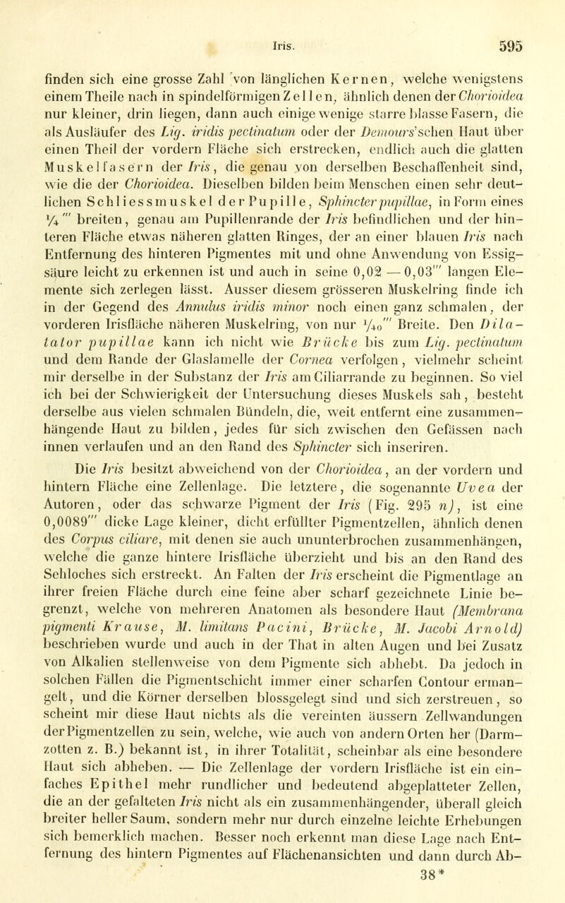 finden sich eine grosse Zahl 'von länglichen Kernen, welche wenigstens einem Theile nach in spindelförmigen Zellen, ähnlich denen der Chormdea nur kleiner, drin liegen, dann auch einige wenige starre l)lasse Fasern, die als Ausläufer des Lig. iridis pectinatum oder der Demours'sehen Haut über einen Theil der vordem Fläche sich erstrecken, endlich auch die glatten Muskelfasern der/m, die genau von derselben Beschaffenheit sind, wie die der Chorioidea. Dieselben bilden beim Menschen einen sehr deut- lichen Schliessmuskel derPupille, Sphincter pupillae, in Form eines y^' breiten, genau am Pupillenrande der Ms befindhchen und der hin- teren Fläche etwas näheren glatten Ringes, der an einer blauen his nach Entfernung des hinteren Pigmentes mit und ohne Anwendung von Essig- säure leicht zu erkennen ist und auch in seine 0,02 — 0,03' langen Ele- mente sich zerlegen lässt. Ausser diesem grösseren Muskelring finde ich in der Gegend des Annulus iridis minor noch einen ganz schmalen, der vorderen Irisfläche näheren Muskelring, von nur 1/40  Breite. Den Dila- tat or pupillae kann ich nicht wie Brücke bis zum Lig. pectinatum und dem Rande der Glaslamelle der Cornea verfolgen, vielmehr scheint mir derselbe in der Substanz der Iris am Ciliarrande zu beginnen. So viel ich bei der Schwierigkeit der Untersuchung dieses Muskels sah, besteht derselbe aus vielen schmalen Bündeln, die, weit entfernt eine zusammen- hängende Haut zu bilden, jedes für sich zwischen den Gefässen nach innen verlaufen und an den Rand des Sphincter sich inseriren. Die 7m besitzt abweichend von der Chorioidea, an der vordem und hintern Fläche eine Zellenlage. Die letztere, die sogenannte Uvea der Autoren, oder das schwarze Pigment der Iris (Fig. 295 nj, ist eine 0,0089' dicke Lage kleiner, dicht erfüllter Pigmentzellen, ähnlich denen des Corpus ciliare, mit denen sie auch ununterbrochen zusammenhängen, welche die ganze hintere Irisfläche überzieht und bis an den Rand des Sehloches sich erstreckt. An Falten der Iris erscheint die Pigmentlage an ihrer freien Fläche durch eine feine aber scharf gezeichnete Linie be- grenzt, welche von mehrei en Anatomen als besondere Haut (Membra?ia pigmenti Krause, M. limitayis Pacini, Brücke, M. Jacobi Arnold) beschrieben wurde und auch in der That in alten Augen und bei Zusatz von Alkalien stellenweise von dem Pigmente sich abhebt. Da jedoch in solchen Fällen die Pigraentschicht immer einer scharfen Contour erman- gelt , und die Körner derselben blossgelegt sind und sich zerstreuen, so scheint mir diese Haut nichts als die vereinten äussern Zellwandungen der Pigmentzellen zu sein, welche, wie auch von andern Orten her (Darm- zotten z. B.) bekannt ist, in ihrer Totahtät, scheinbar als eine besondere Haut sich abheben. — Die Zellenlage der vordem Irisfläche ist ein ein- faches Epithel mehr rundlicher und bedeutend abgeplatteter Zellen, die an der gefalteten Iris nicht als ein zusammenhängender, überall gleich breiter heller Saum, sondern mehr nur durch einzelne leichte Erhebungen sich bemerklich machen. Besser noch erkennt man diese Lage nach Ent- fernung des hintern Pigmentes auf Flächenansichten und dann durch Ab- 38*