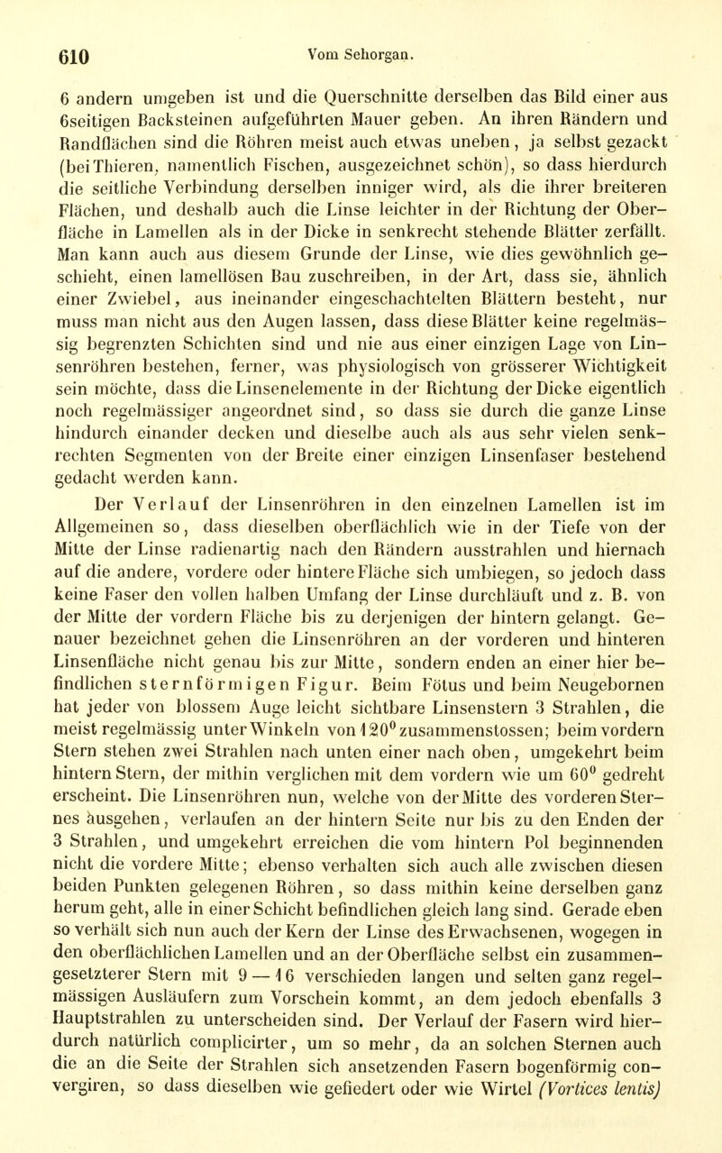 6 andern umgeben ist und die Querschnitte derselben das Bild einer aus 6seitigen Backsteinen aufgeführten Mauer geben. An ihren Bändern und Bandflächen sind die Bohren meist auch etwas uneben, ja selbst gezackt (beiThieren^ namentlich Fischen, ausgezeichnet schön), so dass hierdurch die seitliche Verbindung derselben inniger wird, als die ihrer breiteren Flächen, und deshalb auch die Linse leichter in der Bichtung der Ober- fläche in Lamellen als in der Dicke in senkrecht stehende Blätter zerfällt. Man kann auch aus diesem Grunde der Linse, wie dies gewöhnlich ge- schieht, einen lamellösen Bau zuschreiben, in der Art, dass sie, ähnlich einer Zwiebel, aus ineinander eingeschachtelten Blättern besteht, nur muss man nicht aus den Augen lassen, dass diese Blätter keine regelmäs- sig begrenzten Schichten sind und nie aus einer einzigen Lage von Lin- senröhren bestehen, ferner, was physiologisch von grösserer Wichtigkeit sein möchte, dass die Linsenelemente in der Bichtung der Dicke eigentlich noch regelmässiger angeordnet sind, so dass sie durch die ganze Linse hindurch einander decken und dieselbe auch als aus sehr vielen senk- rechten Segmenten von der Breite einer einzigen Linsenfaser bestehend gedacht werden kann. Der Verlauf der Linsenröhren in den einzelnen Lamellen ist im Allgemeinen so, dass dieselben oberflächlich wie in der Tiefe von der Mitte der Linse radienartig nach den Bändern ausstrahlen und hiernach auf die andere, vordere oder hintere Fläche sich umbiegen, so jedoch dass keine Faser den vollen halben Umfang der Linse durchläuft und z. B. von der Mitte der vordem Fläche bis zu derjenigen der hintern gelangt. Ge- nauer bezeichnet gehen die Linsenröhren an der vorderen und hinteren Linsenfläche nicht genau bis zur Mitte, sondern enden an einer hier be- findhchen sternförmigen Figur. Beim Fötus und beim Neugebornen hat jeder von blossem Auge leicht sichtbare Linsenstern 3 Strahlen, die meist regelmässig unter Winkeln von I^O^zusammenstossen; beim vordem Stern stehen zwei Strahlen nach unten einer nach oben, umgekehrt beim hintern Stern, der mithin verglichen mit dem vordem wie um 60^ gedreht erscheint. Die Linsenröhren nun, welche von der Mitte des vorderen Ster- nes äusgehen, verlaufen an der hintern Seite nur bis zu den Enden der 3 Strahlen, und umgekehrt erreichen die vom hintern Pol beginnenden nicht die vordere Mitte; ebenso verhalten sich auch alle zwischen diesen beiden Punkten gelegenen Böhren, so dass mithin keine derselben ganz herum geht, alle in einer Schicht befindlichen gleich lang sind. Gerade eben so verhält sich nun auch der Kern der Linse des Erwachsenen, wogegen in den oberflächlichen Lamellen und an der Oberfläche selbst ein zusammen- gesetzterer Stern mit 9 — 16 verschieden langen und selten ganz regel- mässigen Ausläufern zum Vorschein kommt, an dem jedoch ebenfalls 3 Hauptstrahlen zu unterscheiden sind. Der Verlauf der Fasern wird hier- durch natürlich complicirter, um so mehr, da an solchen Sternen auch die an die Seite der Strahlen sich ansetzenden Fasern bogenförmig con- vergiren, so dass dieselben wie gefiedert oder wie Wirtel (Vortices lentis)