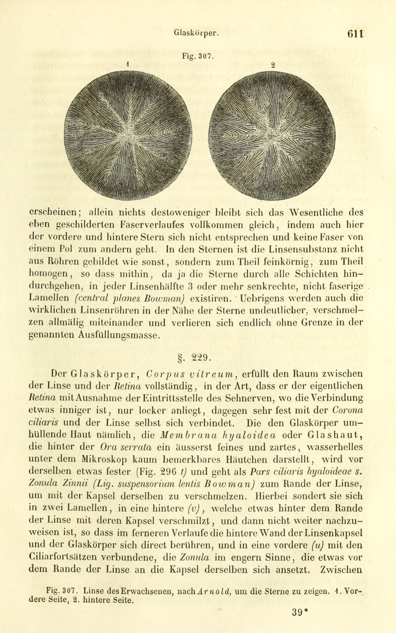 Fia. 307 erscheinen; allein nichts destoweniger bleibt sich das Wesentliche des eben geschilderten Faserverlaufes vollkommen gleich, indem auch hier der vordere und hintere Stern sich nicht entsprechen und keine Faser von einem Pol zum andern geht. In den Sternen ist die Linsensubstanz nicht aus Röhren gebildet wie sonst, sondern zum Theil feinkörnig, zum Theil homogen, so dass mithin^ da ja die Sterne durch alle Schichten hin- durchgehen, in jeder Linsenhälfte 3 oder mehr senkrechte, nicht faserige Lamellen (central planes Bowman) existiren. Uebrigens werden auch die wirklichen Linsenröhren in der Nähe der Sterne undeutlicher^ verschmel- zen allmälig miteinander und verlieren sich endlich ohne Grenze in der genannten Ausfüllungsmasse. §. 229. Der Glaskörper, Corpus vitreum, erfüllt den Raum zwischen der Linse und der Retina vollständige in der Art, dass er der eigentlichen Retina mit Ausnahme der Eintrittsstelle des Sehnerven, wo die Verbindung etwas inniger ist, nur locker anliegt, dagegen sehr fest mit der Corona ciliaris und der Linse selbst sich verbindet. Die den Glaskörper um- hüllende Haut nämlich, die Membrana hyaloidea oder Glashaut, die hinter der Ora serrata ein äusserst feines und zartes, wasserhelles unter dem Mikroskop kaum bemerkbares Häutchen darstellt, wird vor derselben etwas fester (Fig. 296 und geht als Pars ciliaris hyaloideae s. Zonula Zinnii (Lig. siispensorium lentis Bowman) zum Rande der Linse, um mit der Kapsel derselben zu verschmelzen. Hierbei sondert sie sich in zwei Lamellen, in eine hintere (v), welche etwas hinter dem Rande der Linse mit deren Kapsel verschmilzt, und dann nicht weiter nachzu- weisen ist, so dass im ferneren Verlaufe die hintere Wand der Linsenkapsel und der Glaskörper sich direct berühren, und in eine vordere (u) mit den Ciliarfortsätzen verbundene, die Zonula im engern Sinne, die etwas vor dem Rande der Linse an die Kapsel derselben sich ansetzt. Zwischen Fig. 307. Linse des Erwachsenen, ud^Qh. Arnold, um die Sterne zu zeigen. I.Vor- dere Seite, 2. hintere Seite. 39*