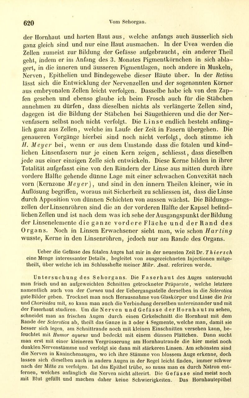 der Hornhaut und harten Haut aus, welche anfangs auch äusserlich sich (yanz gleich sind und nur eine Haut ausmachen. In der Uvea werden die Zellen zumeist zur Bildung der Gefässe aufgebraucht, ein anderer Theil geht, indem er im Anfang des 3. Monates Pigmentkörnchen in sich abla- gert, in die inneren und äusseren Pigmentlagen, noch andere in Muskeln, Nerven, Epithelien und Bindegewebe dieser Häute über. In der Retina lässt sich die Entwicklung der Nervenzellen und der sogenannten Körner aus embryonalen Zellen leicht verfolgen. Dasselbe habe ich von den Zap- fen gesehen und ebenso glaube ich beim Frosch auch für die Stäbchen annehmen zu dürfen, dass dieselben nichts als verlängerte Zellen sind, dagegen ist die Bildung der Stäbchen bei Säugethieren und die der Ner- venfasern selbst noch nicht verfolgt. Die Linse endlich besteht anfäng- lich ganz aus Zellen, welche im Laufe der Zeit in Fasern übergehen. Die genaueren Vorgänge hierbei sind noch nicht verfolgt, doch stimme ich H. Meyer bei, wenn er aus dem Umstände dass die fötalen und kind- lichen Linsenfasern nur je einen Kern zeigen, schliesst, dass dieselben jede aus einer einzigen Zelle sich entwickeln. Diese Kerne bilden in ihrer Totalität aufgefasst eine von den Rändern der Linse aus mitten durch ihre vordere Hälfte gehende dünne Lage mit einer schwachen Convexität nach vorn (Kernzone Meyer)^ und sind in den innern Theilen kleiner, W\q in Auflösung begriffen, woraus mit Sicherheit zu schliessen ist, dass die Linse durch Apposition von dünnen Schichten von aussen wächst. Die Bildungs- zellen der Linsenröhren sind die an der vorderen Hälfte der Kapsel befind- lichen Zellen und ist nach dem was ich sehe der Ausgangspunkt der Bildung der Linsenelemente die ganze vordere Fläche und der Rand des Organs. Noch in Linsen Erwachsener sieht man, wie schon Harting wusste. Kerne in den Linsenröhren, jedoch nur am Rande des Organs. Ueber die Gefässe des fötalen Auges hat mir in der neuesten Zeit Dr. Thiersch eine Menge interessanter Details, begleitet von ausgezeichneten Injectionen mitge- theilt, über welche ich im Schlusshefte meiner Mikr. Anat. referiren werde. Untersuchung des Sehorgans. Die Faserhaut des Auges untersucht man frisch und an aufgeweichten Schnitten getrockneter Präparate, welche letztere namentlich auch von der Cornea und der Uebergangsstelle derselben in die Sclerotica guteBilder geben. Trocknet man nach Herausnahme von Glaskörper und Linse die Iris irnd Chorioidea mit, so kann man auch die Verbindung derselben untereinander und mit der Faserhaut studiren. Um die Nerven und Gefässe derHornhautzu sehen, schneidet man an frischen Augen durch einen Cirkelschnitt die Hornhaut mit dem Rande der Sclerotica ab, theilt das Ganze in 3 oder 4 Segmente, welche man, damit sie besser sich legen, am Schnitlrande noch mit kleinen Einschnitten versehen kann, be- feuchtet mit Humor aqueus und bedeckt mit einem dünnen Plättchen. Dann sucht man erst mit einer kleineren Vergrösserung am Hornhautrande die hier meist noch dunklen Nervenstämme und verfolgt sie dann mit stärkeren Linsen. Am schönsten sind die Nerven in Kaninchenaugen, wo ich ihre Stämme von blossem Auge erkenne, doch lassen sich dieselben auch in andern Augen in der Regel leicht finden, immer schwer nach der Mitte zu verfolgen. Ist das Epithel trübe, so muss man es durch Natron ent- fernen, welches anfänglich die Nerven nicht alterirt. Die Gefässe sind meist noch mit Blut gefüllt und machen daher keine Schwierigkeiten. Das Hornhautepithel